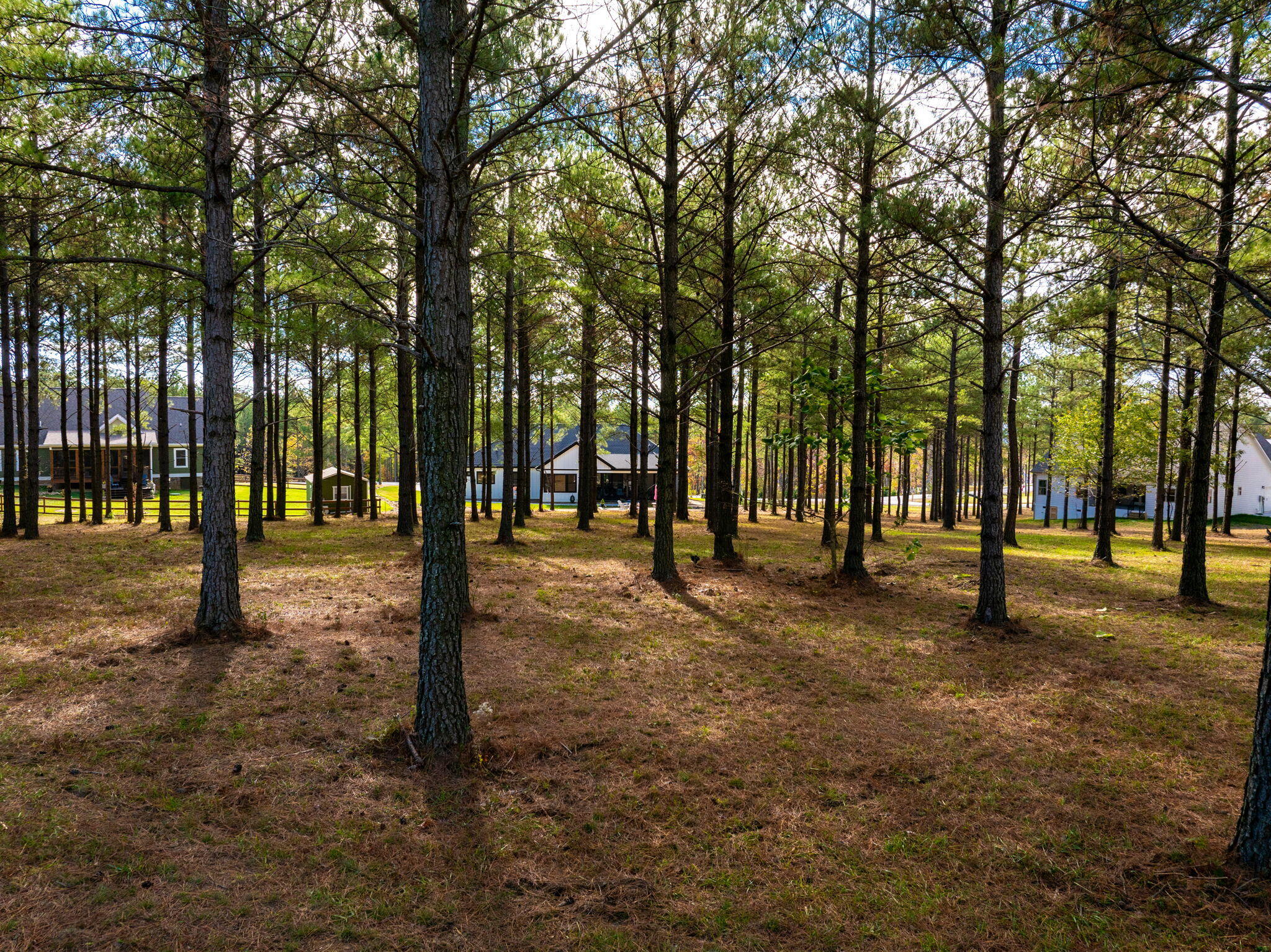 0 Deer Ridge Point Jasper, TN 37347 - Photo 16 of 32 16-web-or-mls-DJI_20241113113258_0224_D-