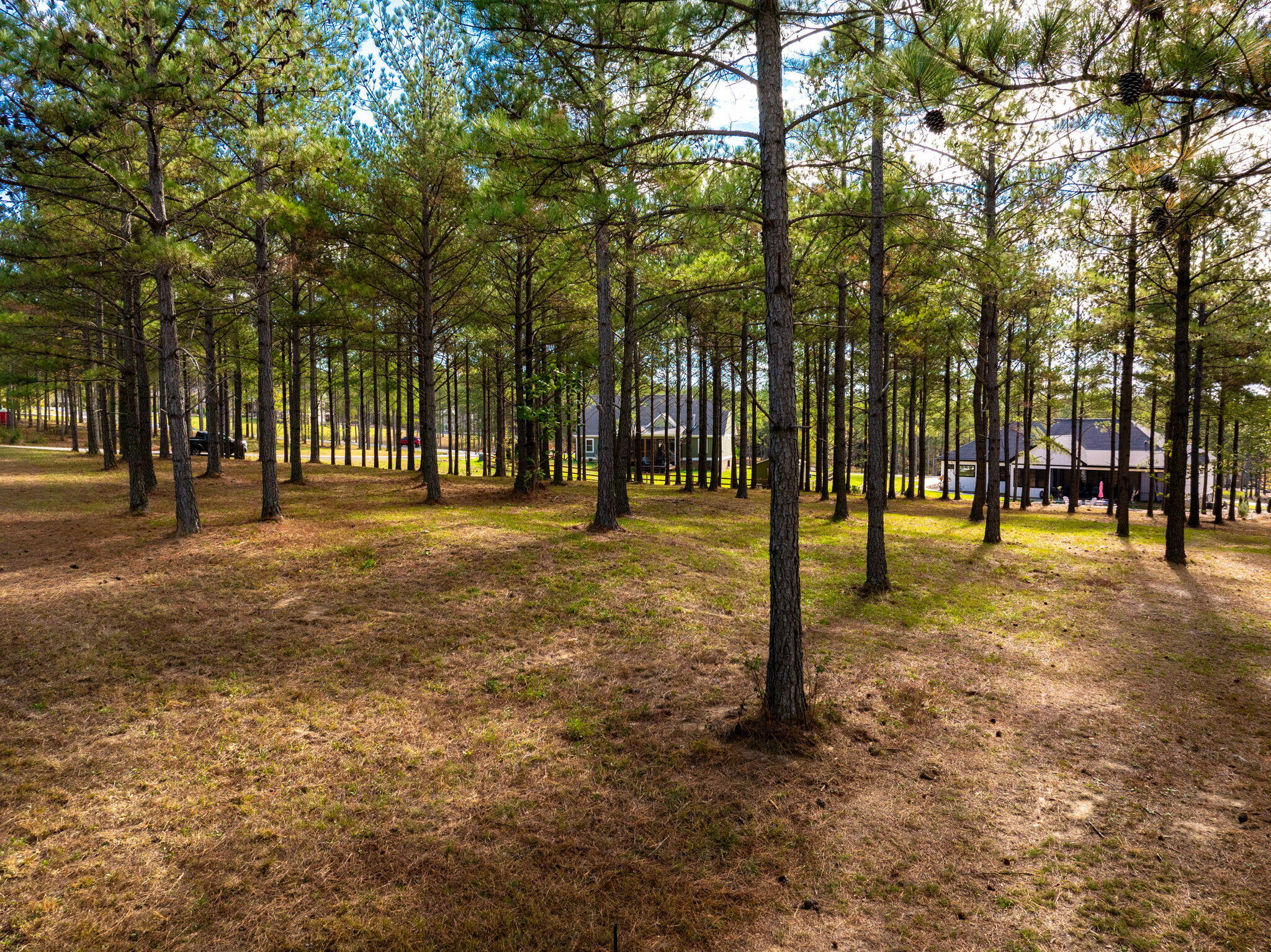 0 Deer Ridge Point Jasper, TN 37347 - Photo 17 of 32 17-web-or-mls-DJI_20241113113322_0225_D-