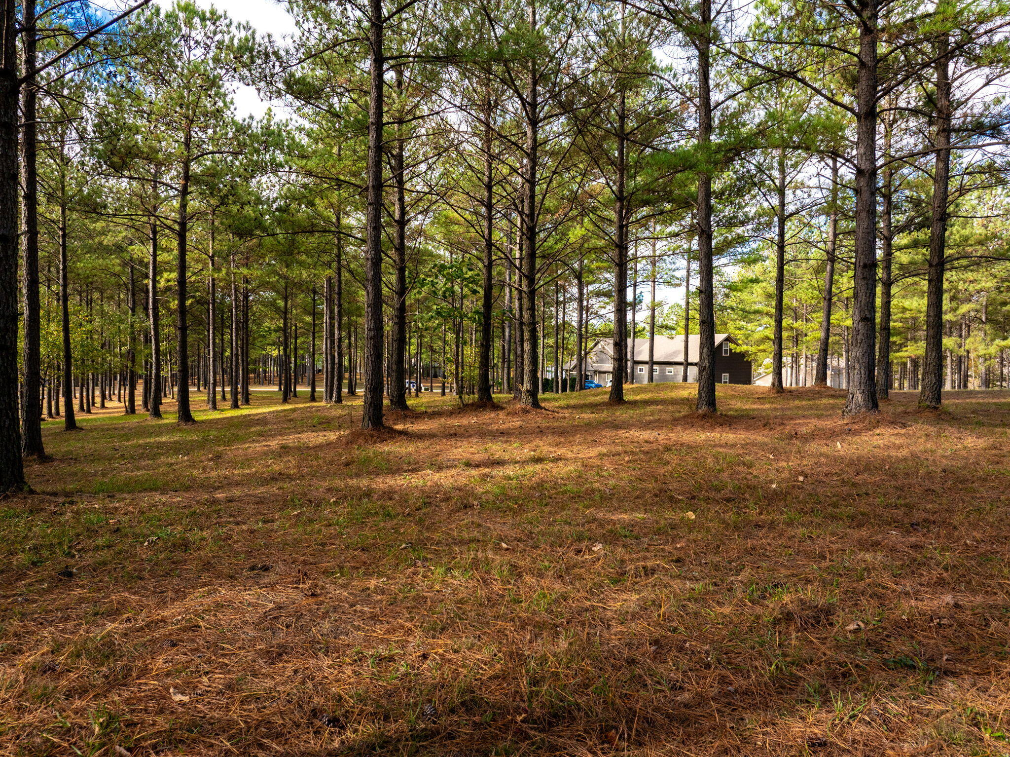 0 Deer Ridge Point Jasper, TN 37347 - Photo 18 of 32 18-web-or-mls-DJI_20241113113401_0226_D-