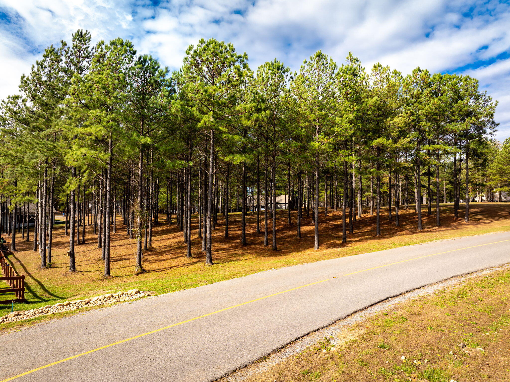 0 Deer Ridge Point Jasper, TN 37347 - Photo 23 of 32 23-web-or-mls-DJI_20241113113604_0231_D-