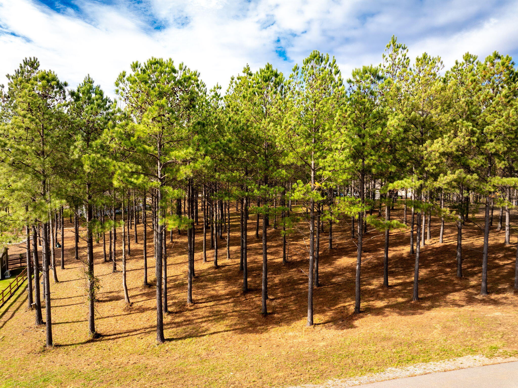 0 Deer Ridge Point Jasper, TN 37347 - Photo 24 of 32 24-web-or-mls-DJI_20241113113632_0232_D-
