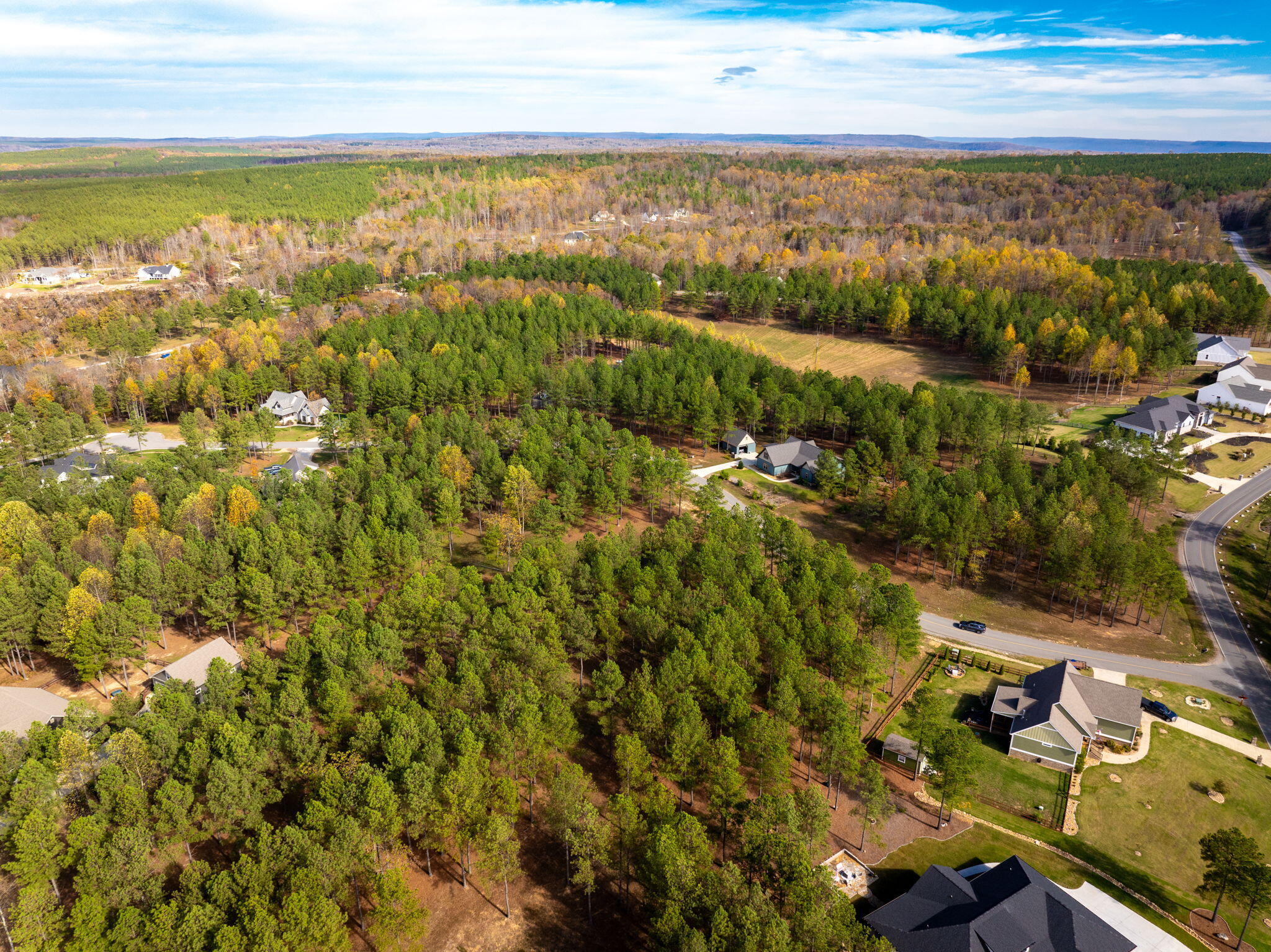 0 Deer Ridge Point Jasper, TN 37347 - Photo 6 of 32 6-web-or-mls-DJI_20241113113001_0214_D-6