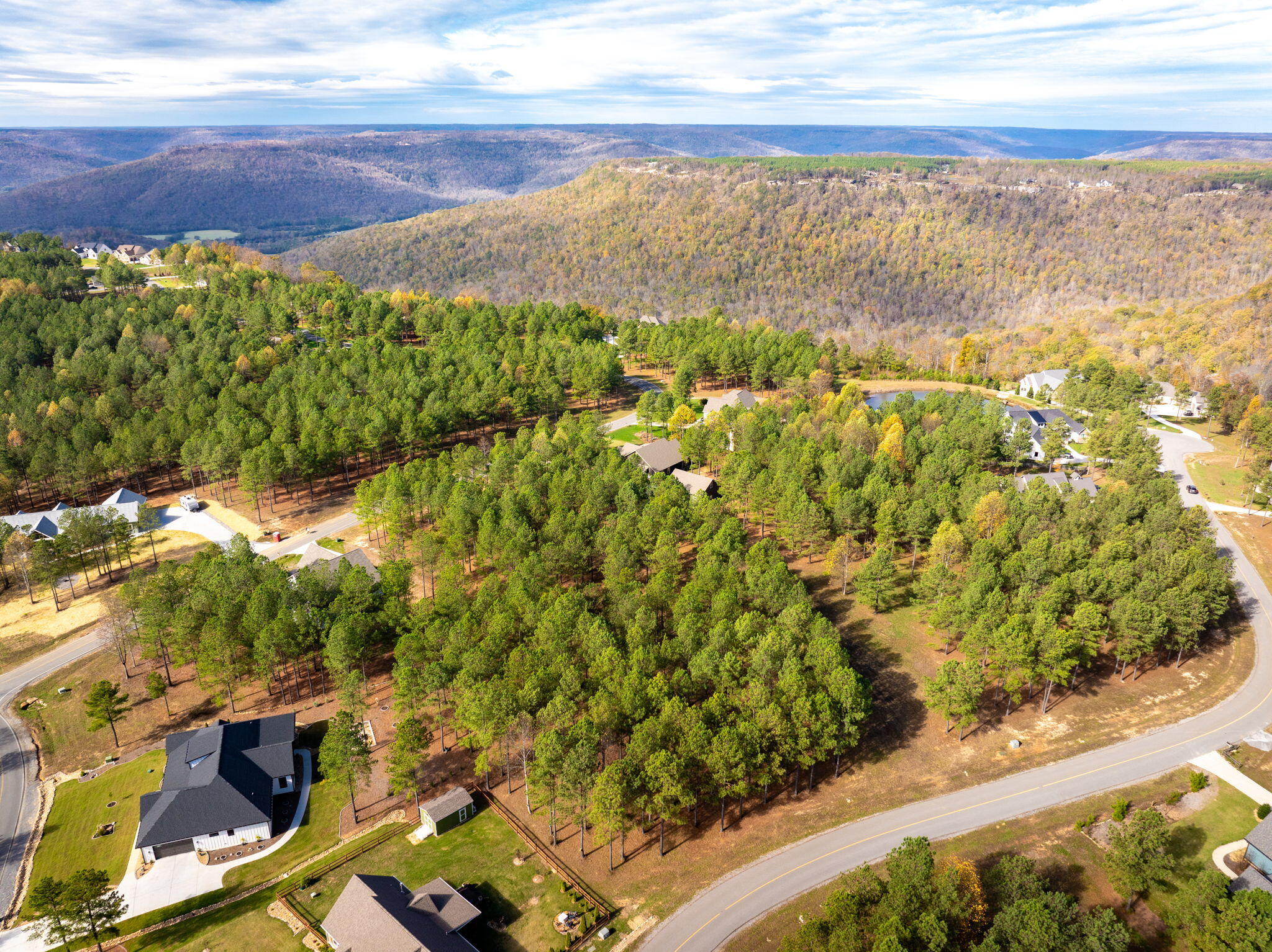 0 Deer Ridge Point Jasper, TN 37347 - Photo 8 of 32 8-web-or-mls-DJI_20241113113031_0216_D-8
