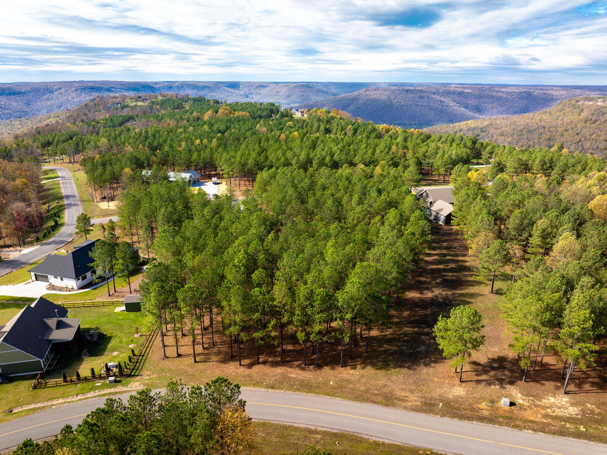 0 Deer Ridge Point Jasper, TN 37347 - Photo 9 of 32 9-web-or-mls-DJI_20241113113046_0217_D-9