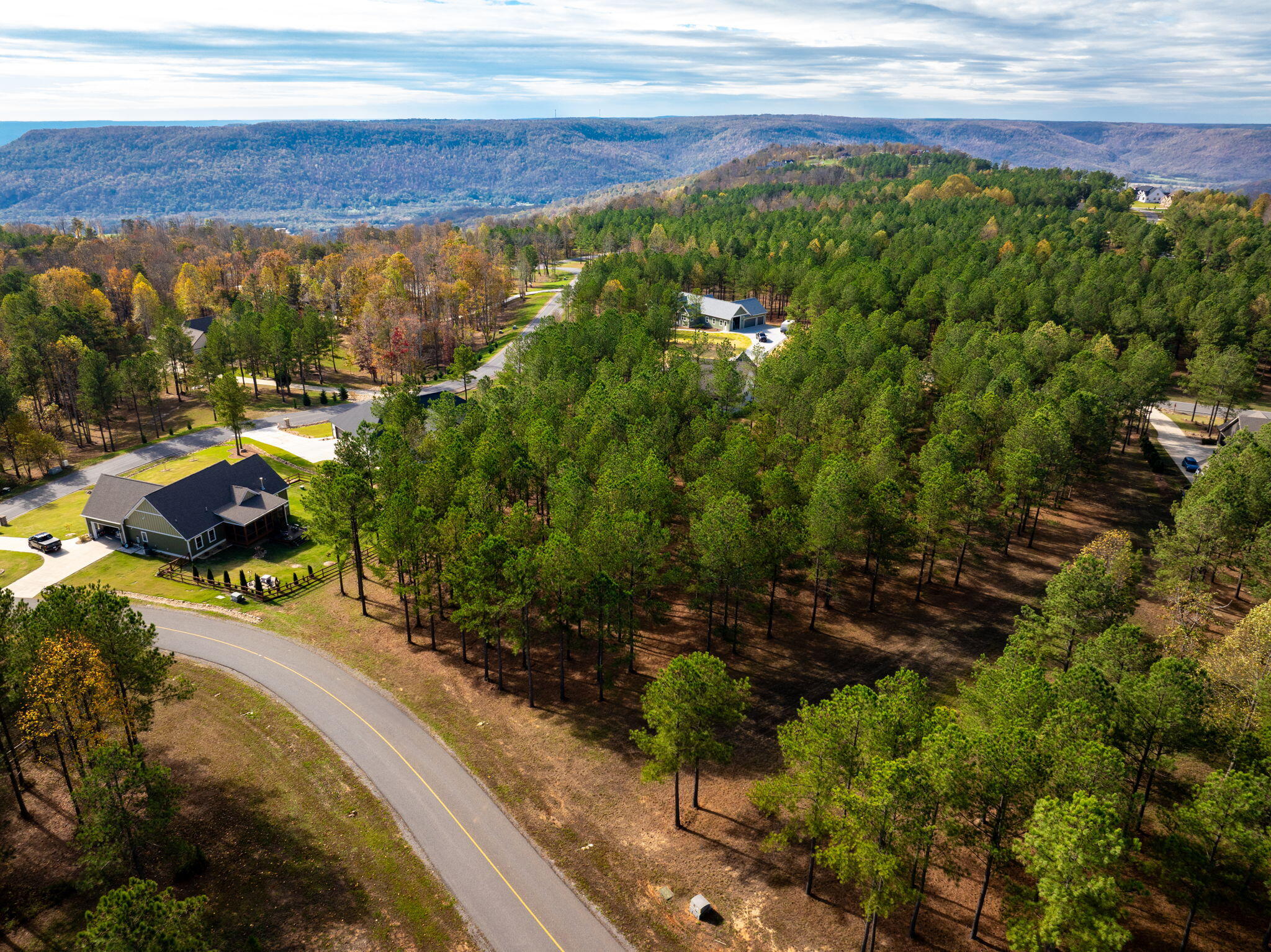 0 Deer Ridge Point Jasper, TN 37347 - Photo 10 of 32 10-web-or-mls-DJI_20241113113056_0218_D-