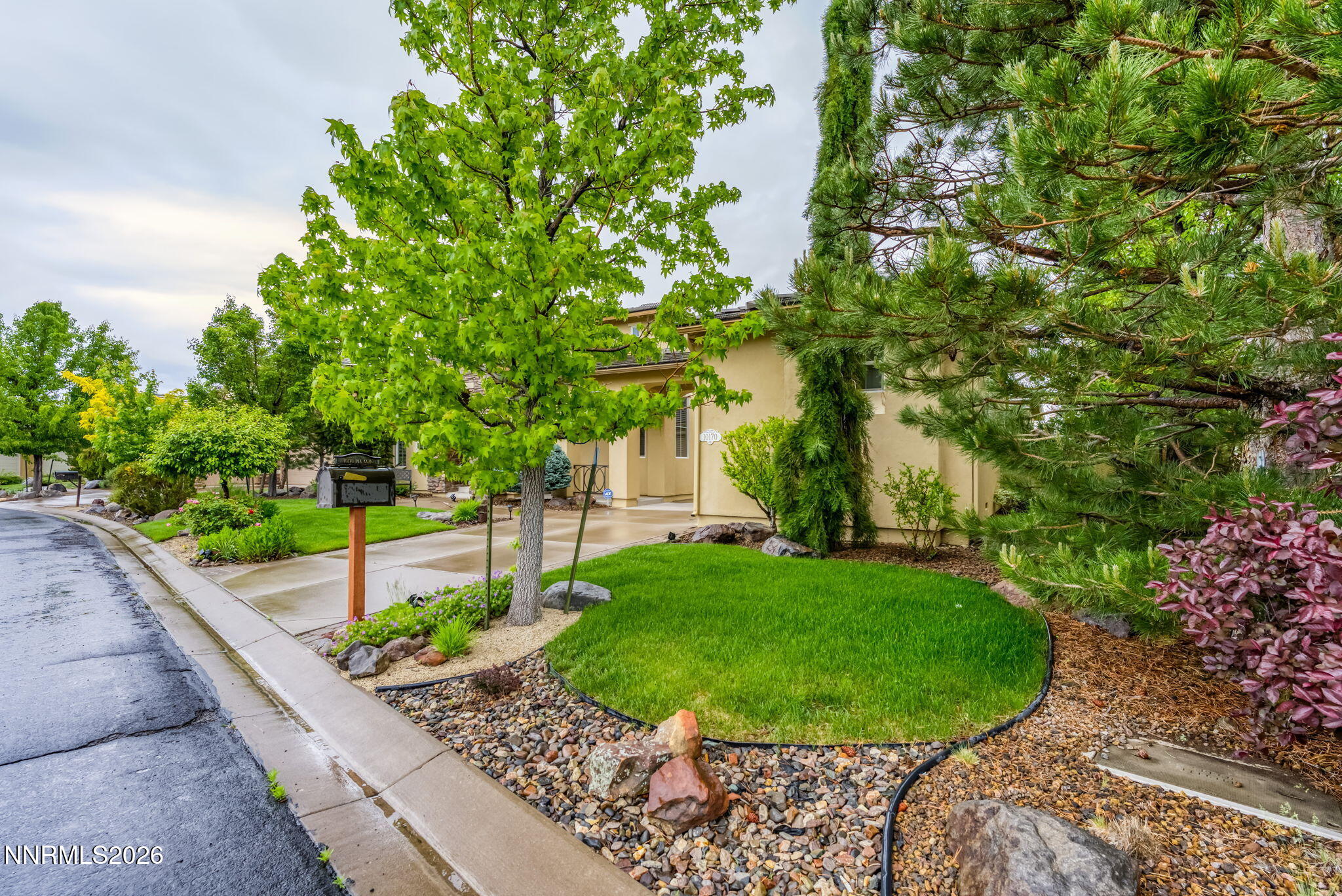 10170 Vía Como Reno, NV 89511 - Photo 49 of 85 a view of a backyard with a garden and plants