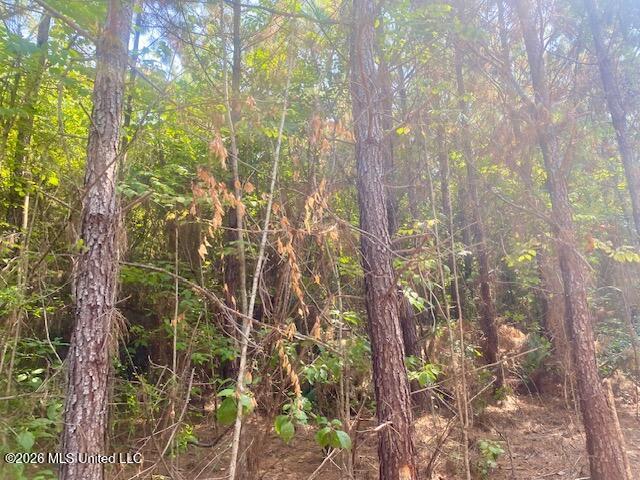 Archie Boyd Road Jayess, MS 39641 - Photo 20 of 27 IMG_6622