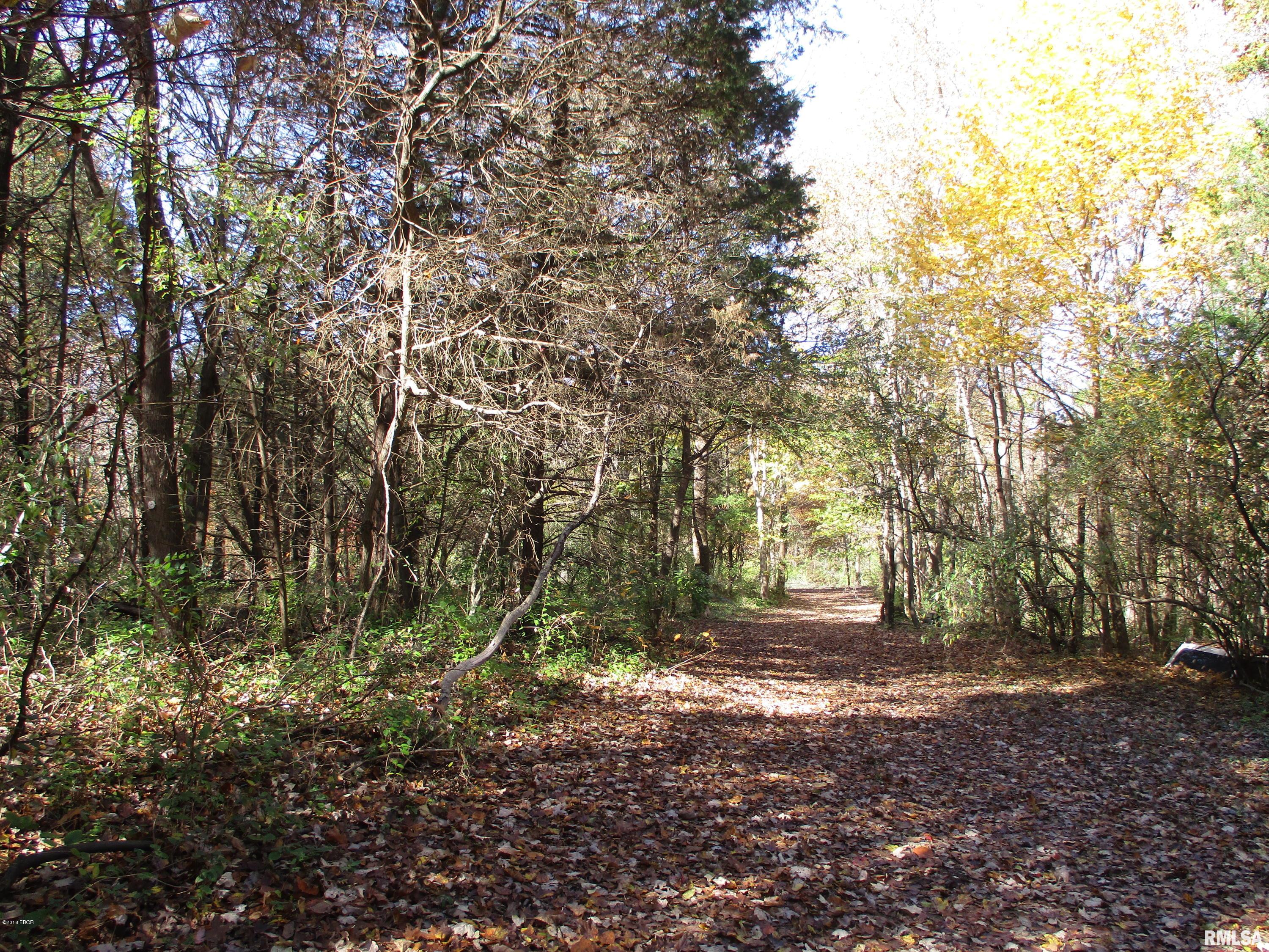 11893 Forest Baptist Church Road Benton, IL 62812 - Photo 30 of 50 Gallery Image 30