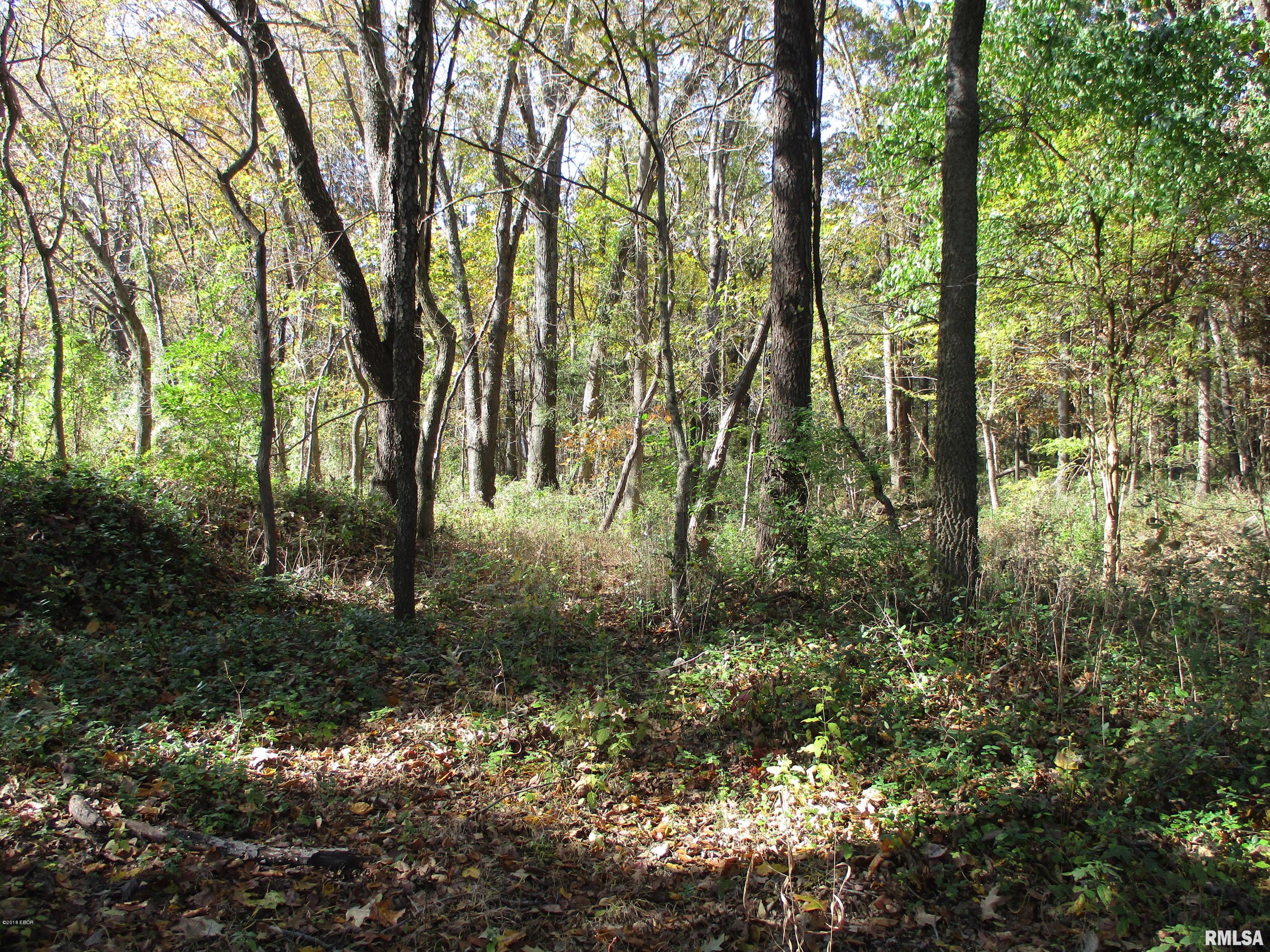 11893 Forest Baptist Church Road Benton, IL 62812 - Photo 35 of 50 Gallery Image 35