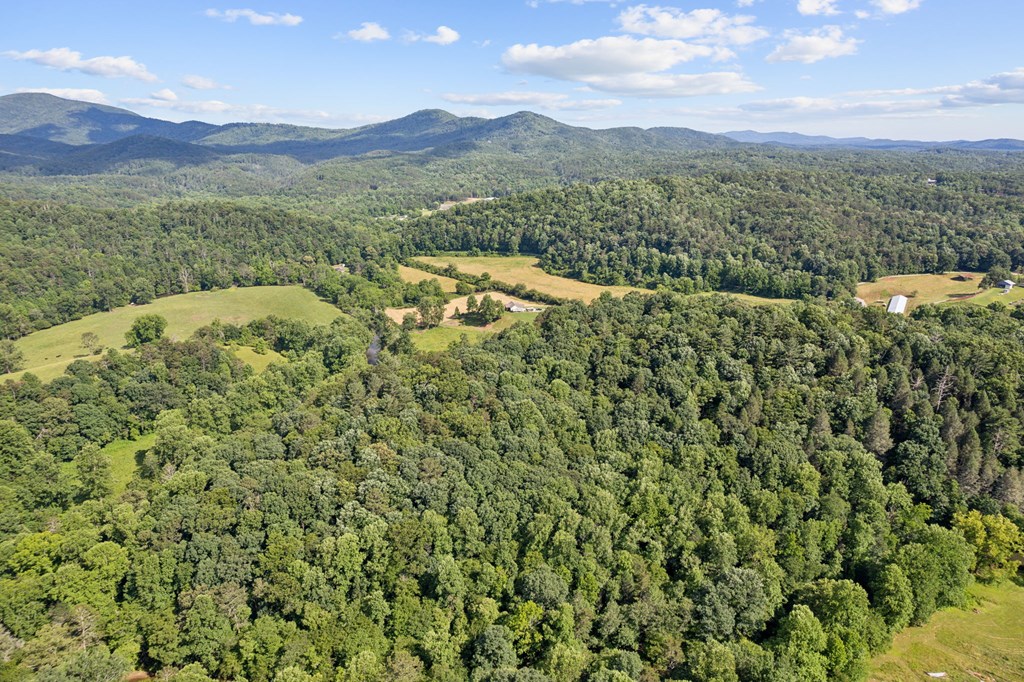 907 Northcut Road Ellijay, GA 30536 - Photo 41 of 48 Gallery Image 41