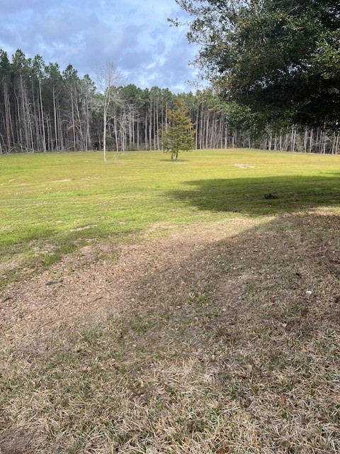335 Walding Road Livingston, TX 77351 - Photo 23 of 23 a view of a field with an trees in the background