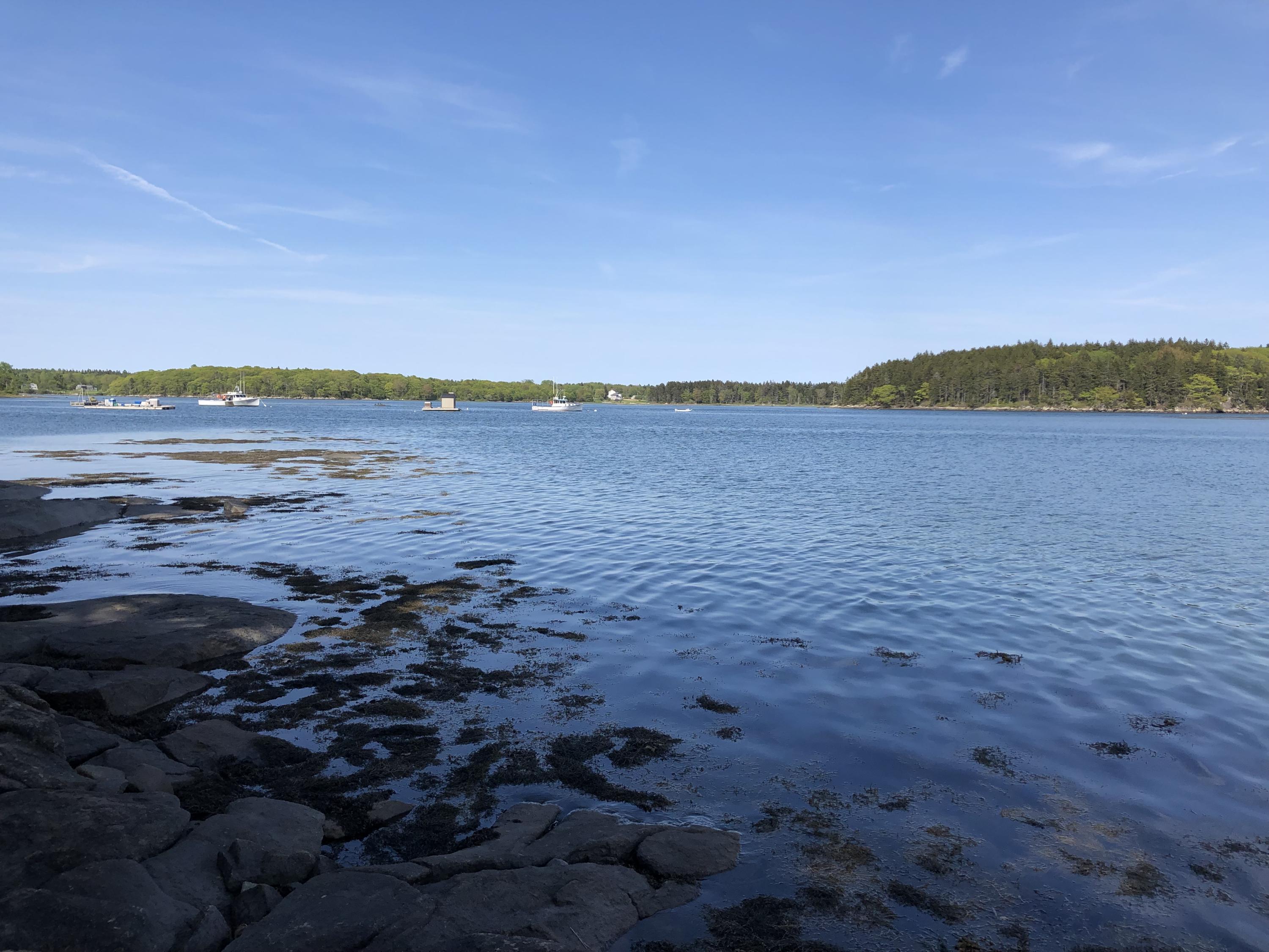 313 River Road Tenants Harbor, ME 04860 - Photo 35 of 42 IMG_2641