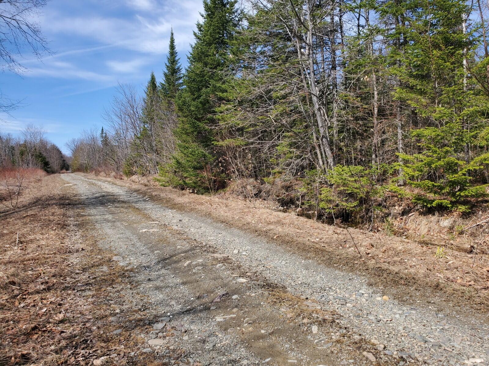 50 Suckertown Road Amity, ME 04471 - Photo 7 of 9 20210409_114112