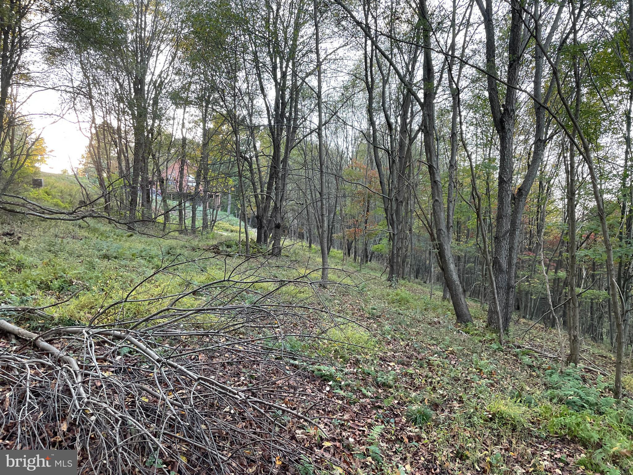 Sunset Ridge Drive, Unit 33 McHenry, MD 21541 - Photo 2 of 19