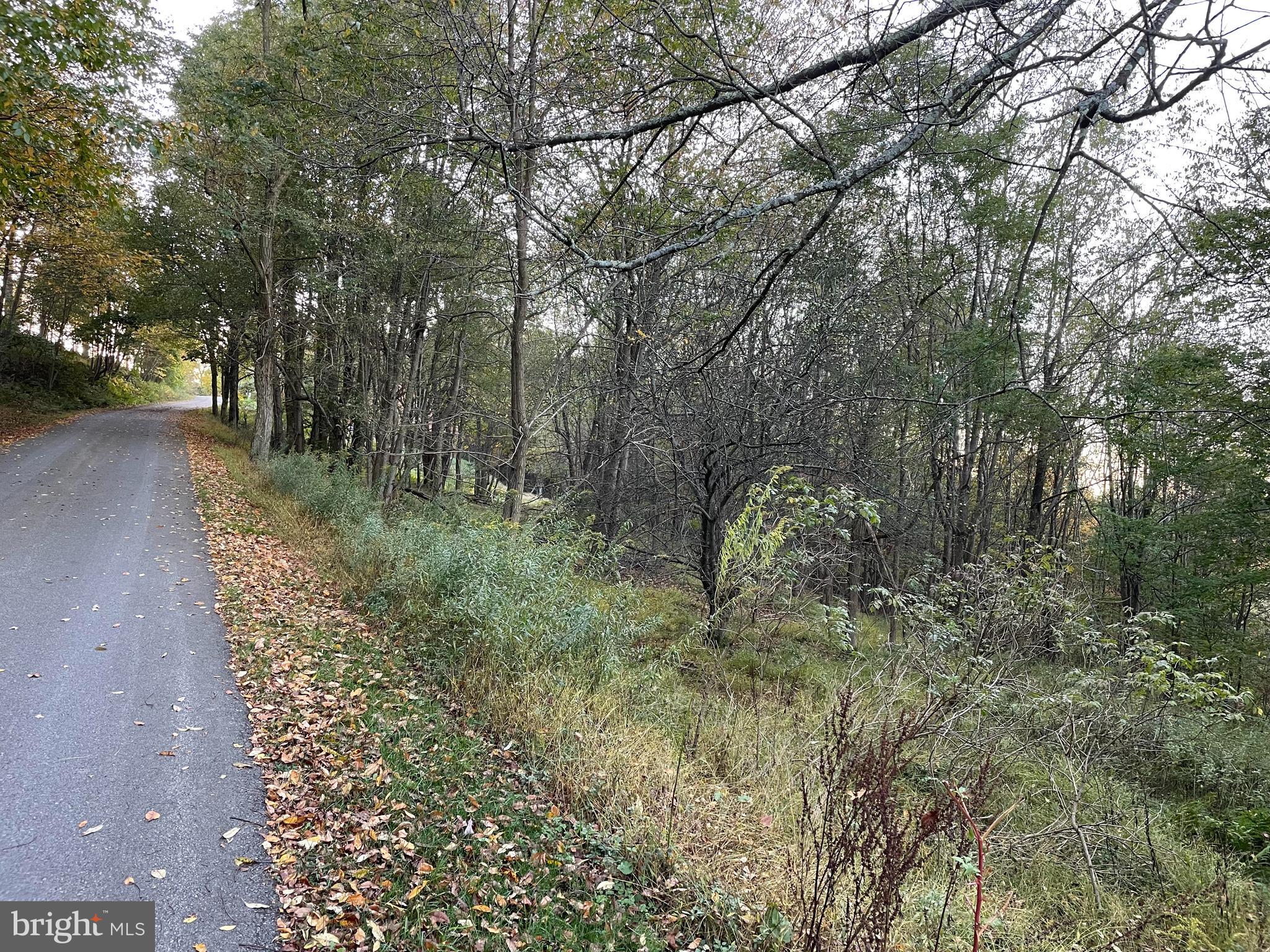 Sunset Ridge Drive, Unit 33 McHenry, MD 21541 - Photo 3 of 19