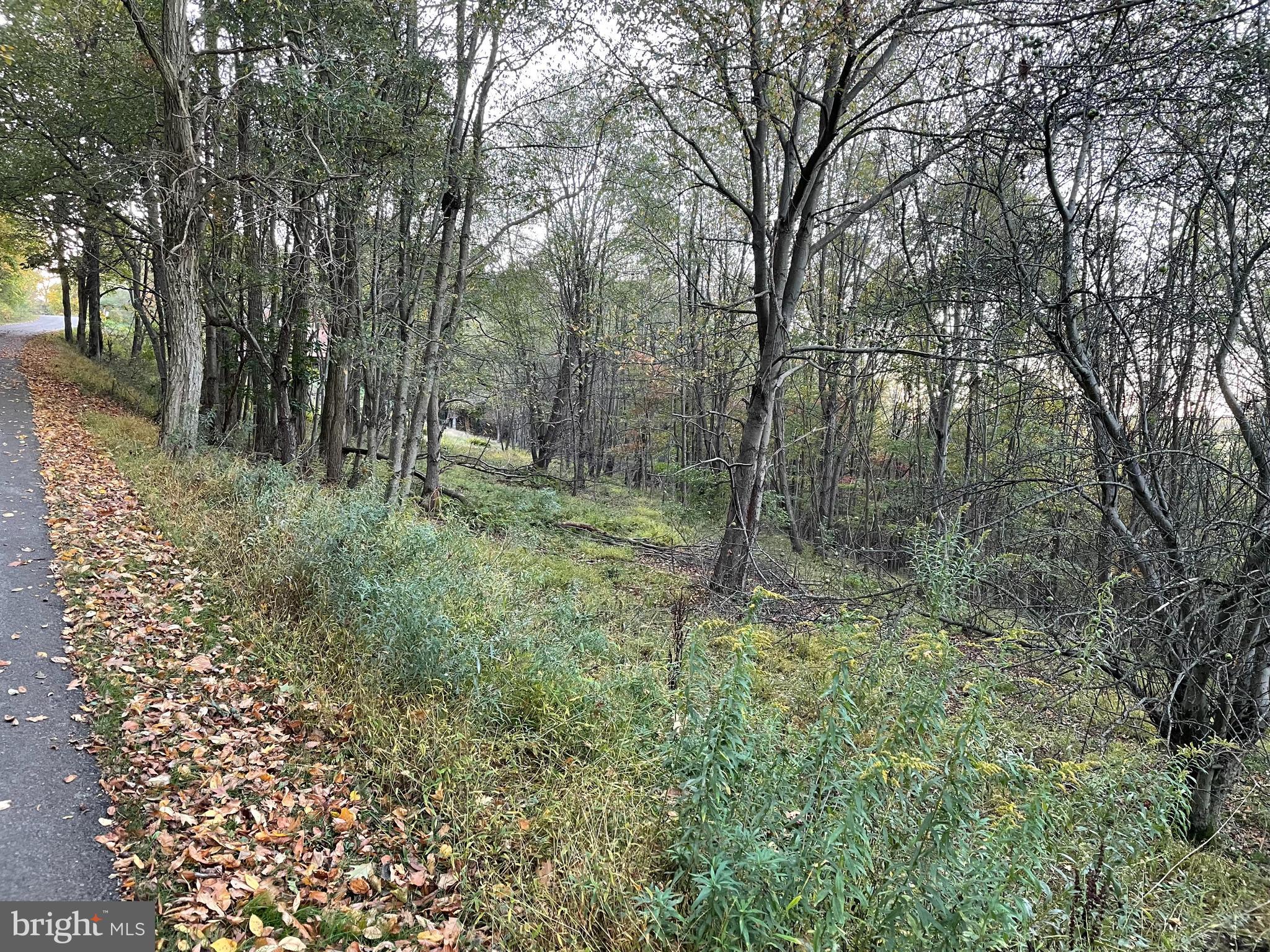 Sunset Ridge Drive, Unit 33 McHenry, MD 21541 - Photo 4 of 19