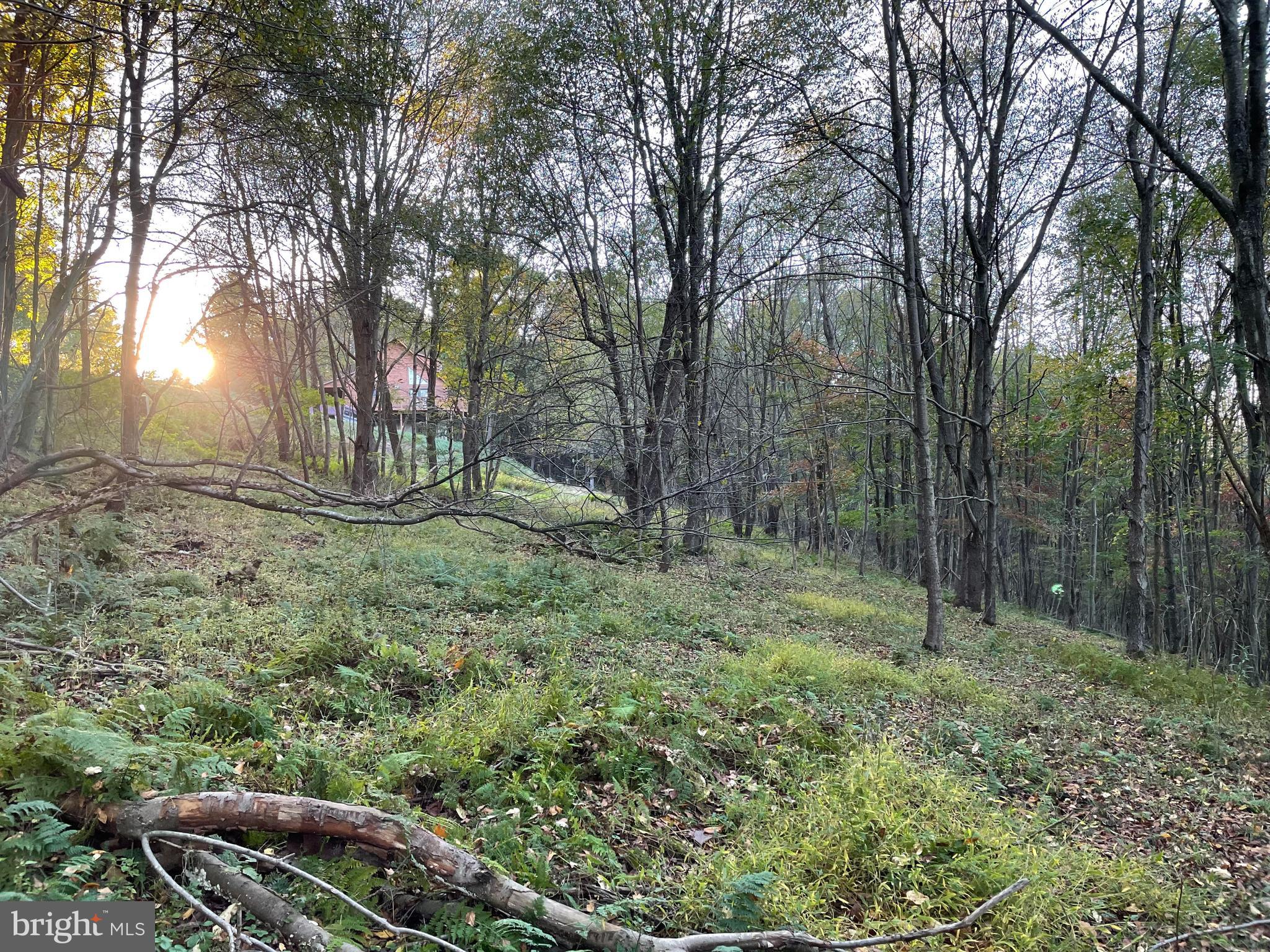 Sunset Ridge Drive, Unit 33 McHenry, MD 21541 - Photo 5 of 19