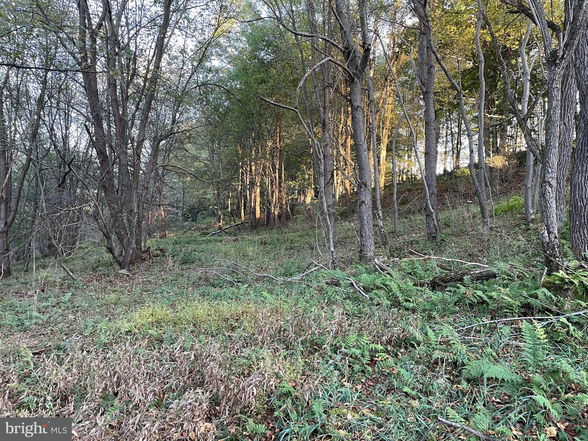 Sunset Ridge Drive, Unit 33 McHenry, MD 21541 - Photo 6 of 19