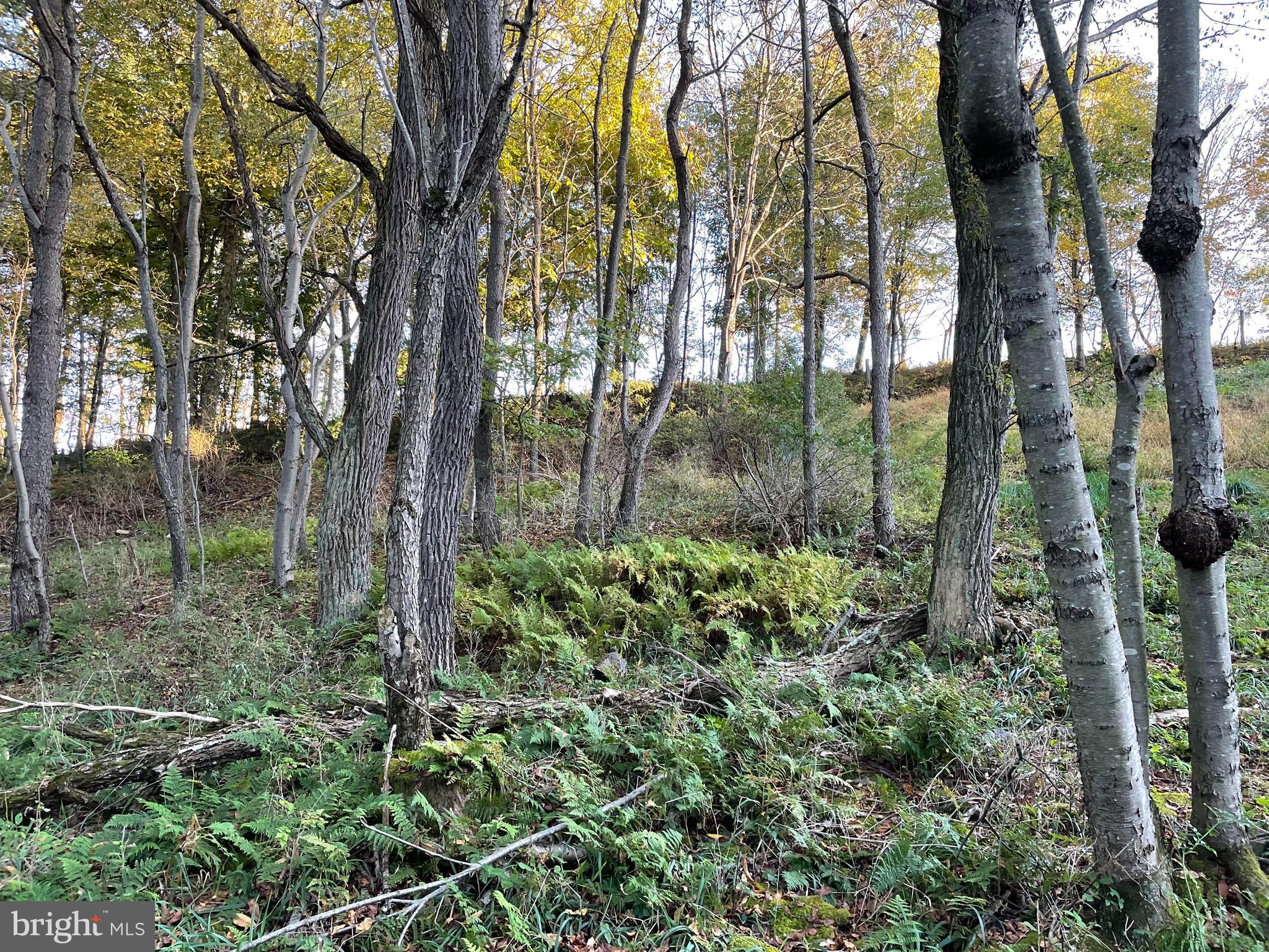 Sunset Ridge Drive, Unit 33 McHenry, MD 21541 - Photo 7 of 19