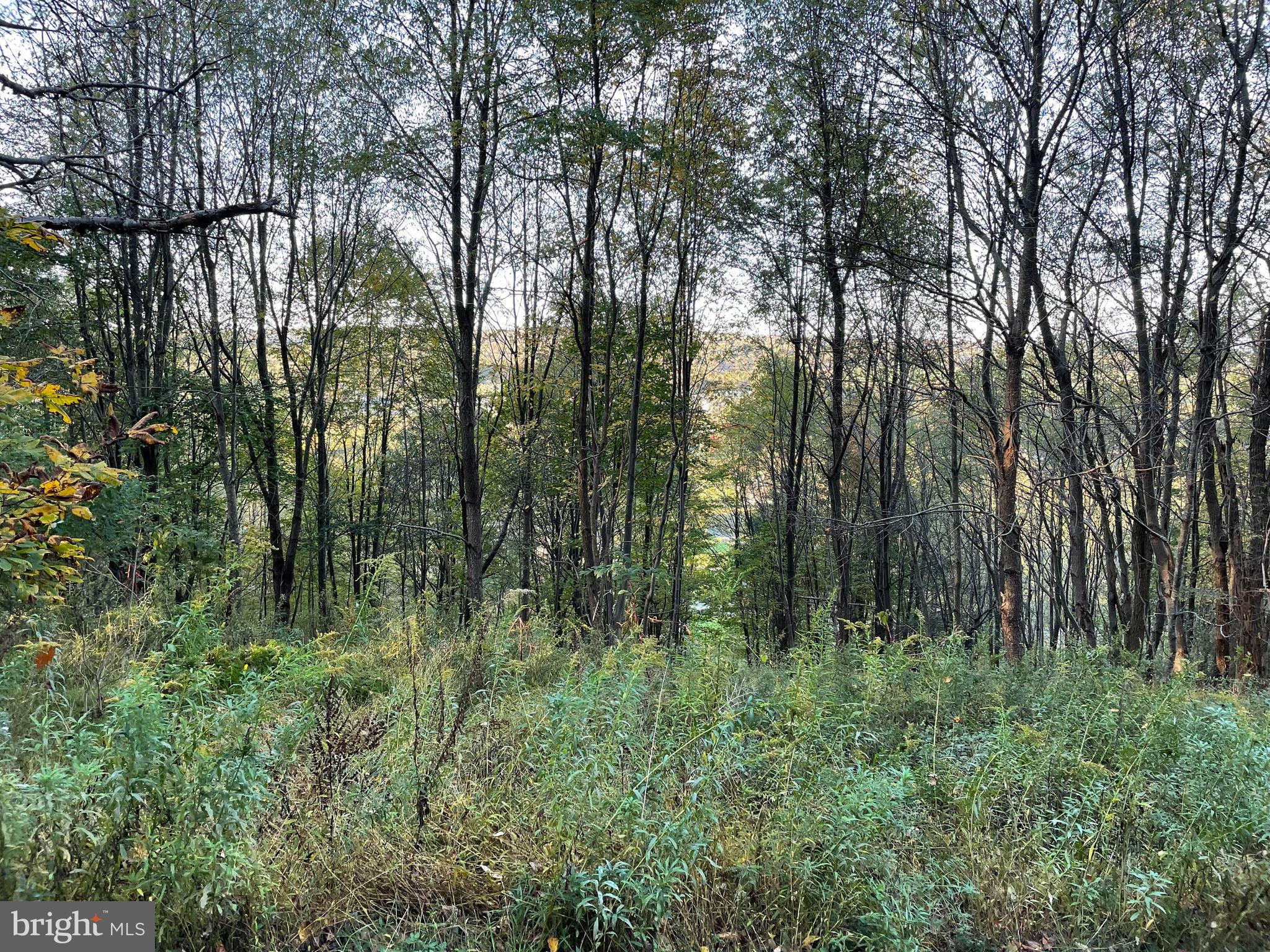 Sunset Ridge Drive, Unit 33 McHenry, MD 21541 - Photo 8 of 19