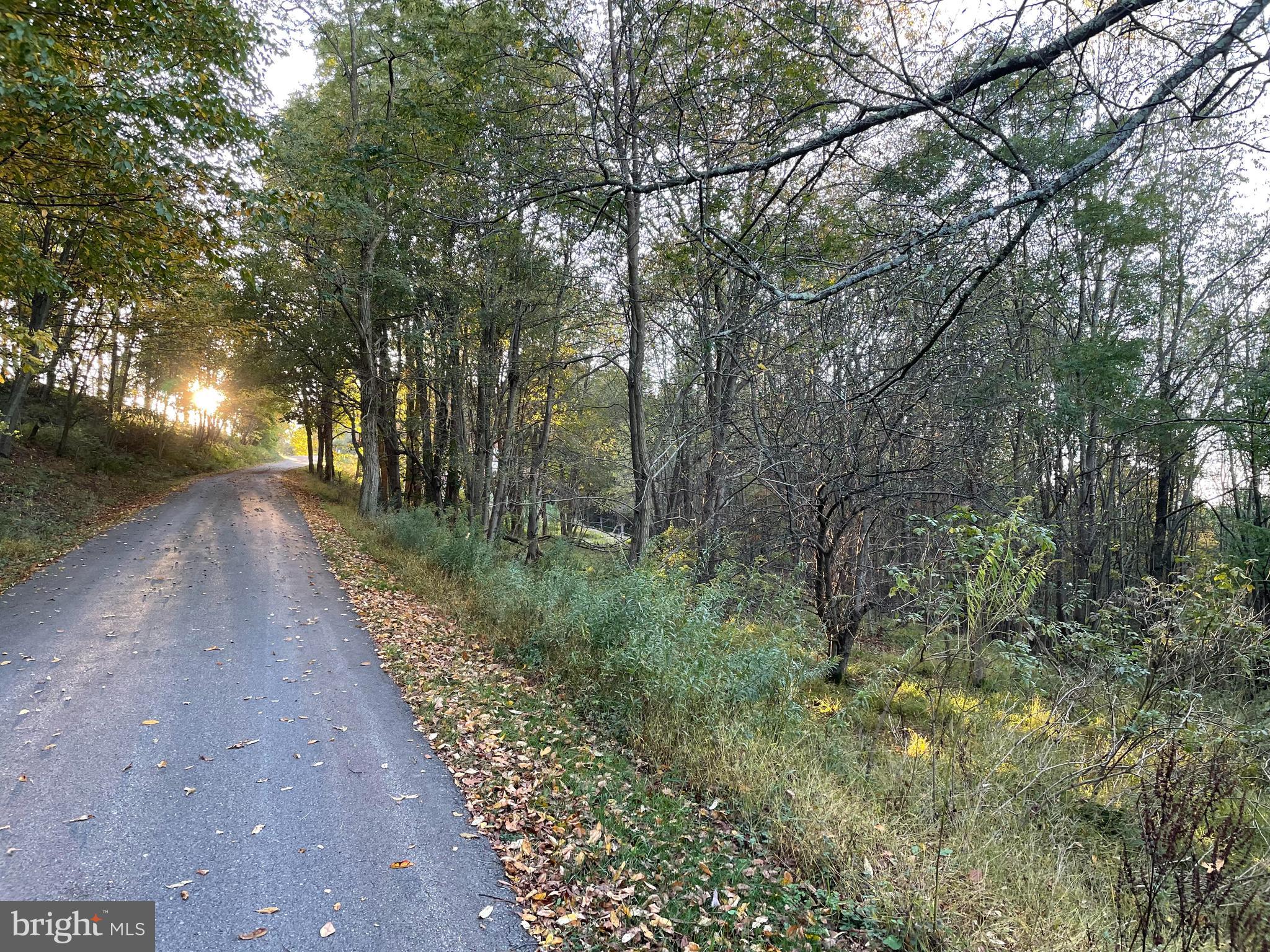 Sunset Ridge Drive, Unit 33 McHenry, MD 21541 - Photo 9 of 19