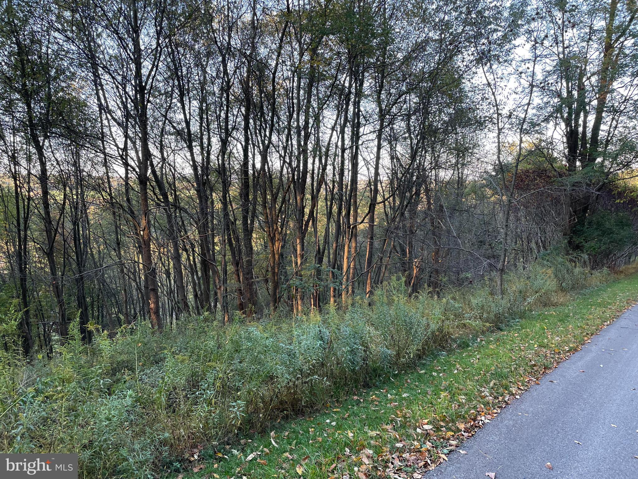 Sunset Ridge Drive, Unit 33 McHenry, MD 21541 - Photo 10 of 19