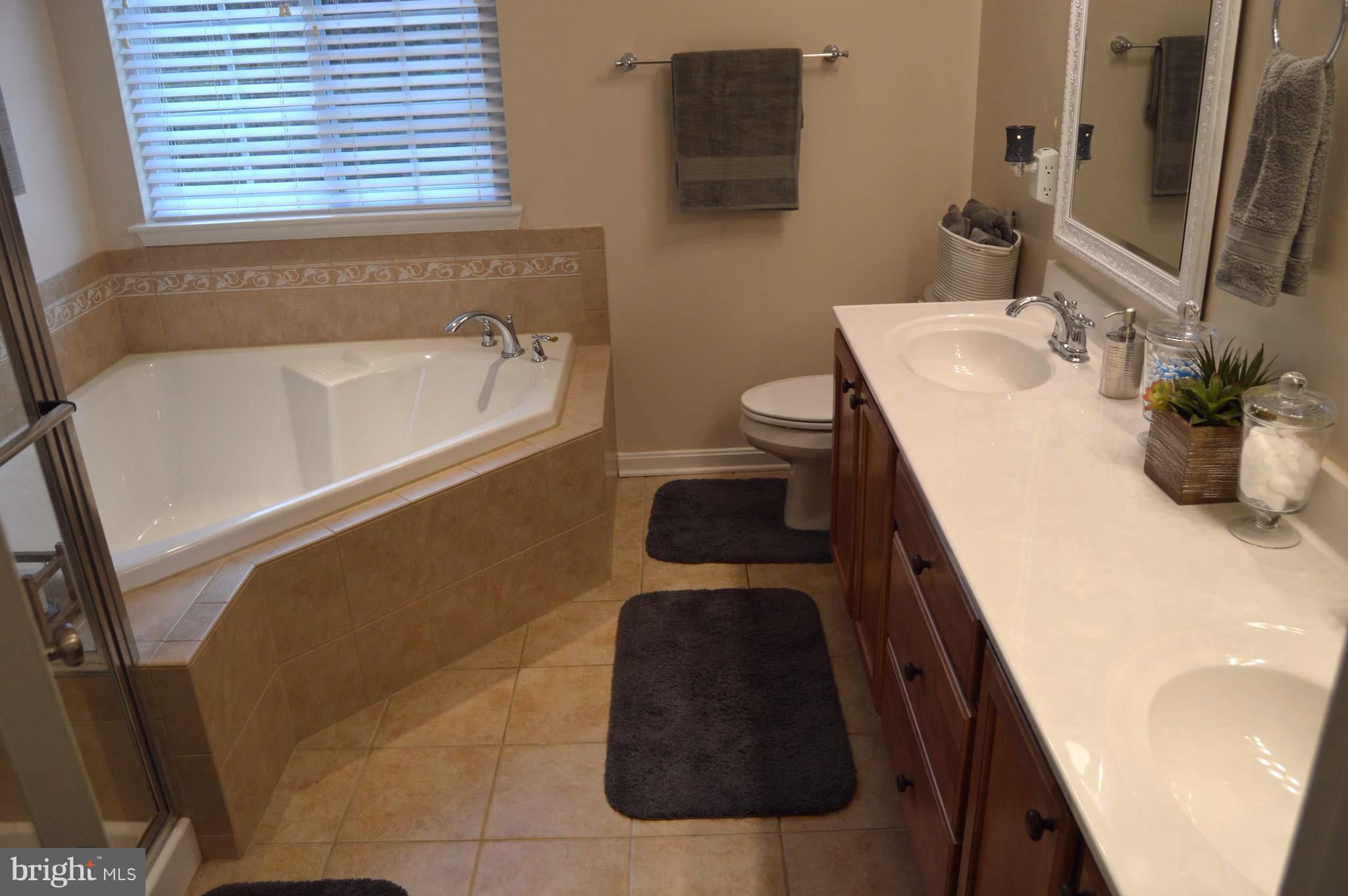 11 Riparian Lane Ranson, WV 25438 - Photo 16 of 30 Bath (Master)