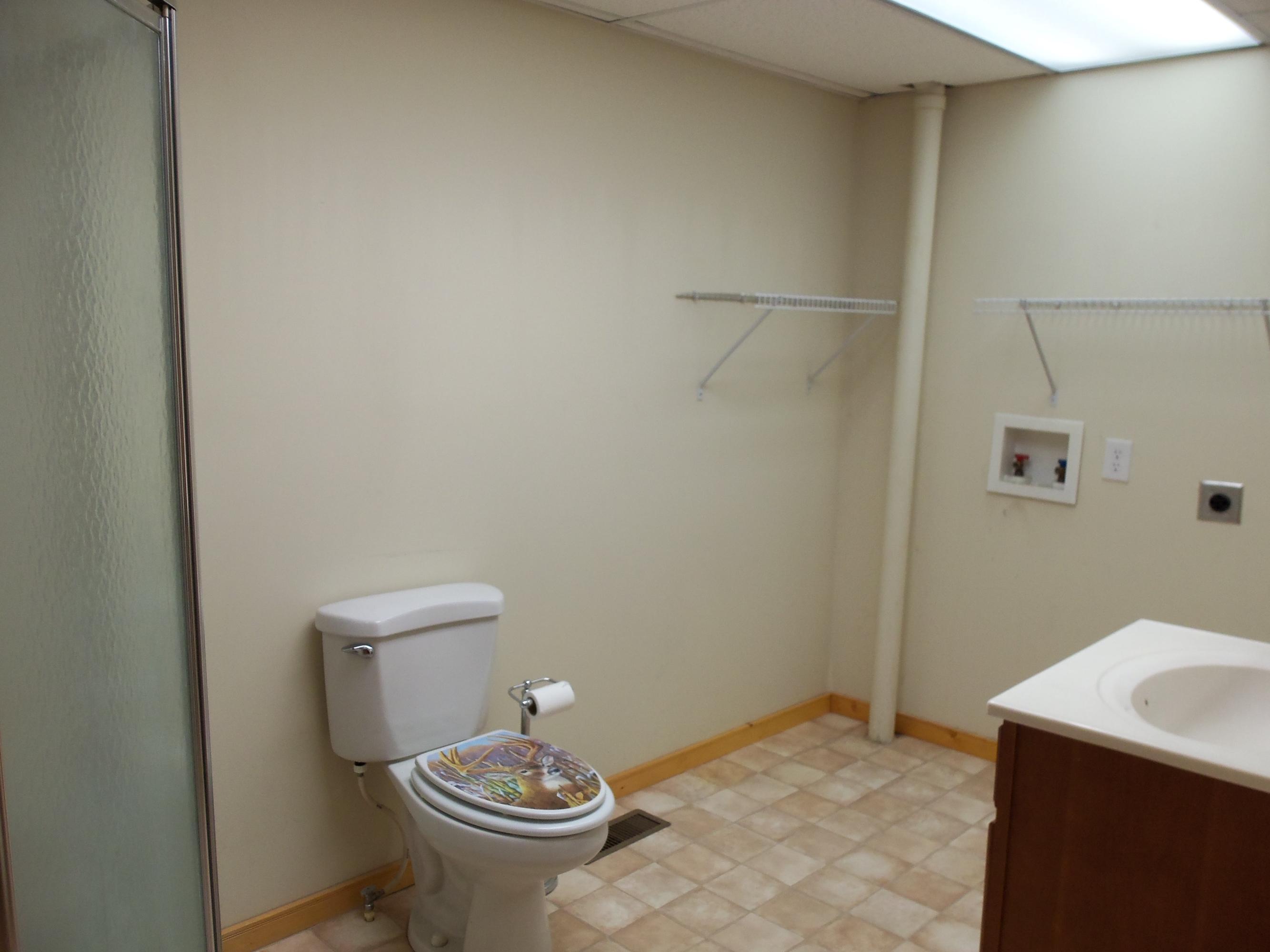 3220 Poor Valley Road Rutledge, TN 37861 - Photo 11 of 37 Bath on Main