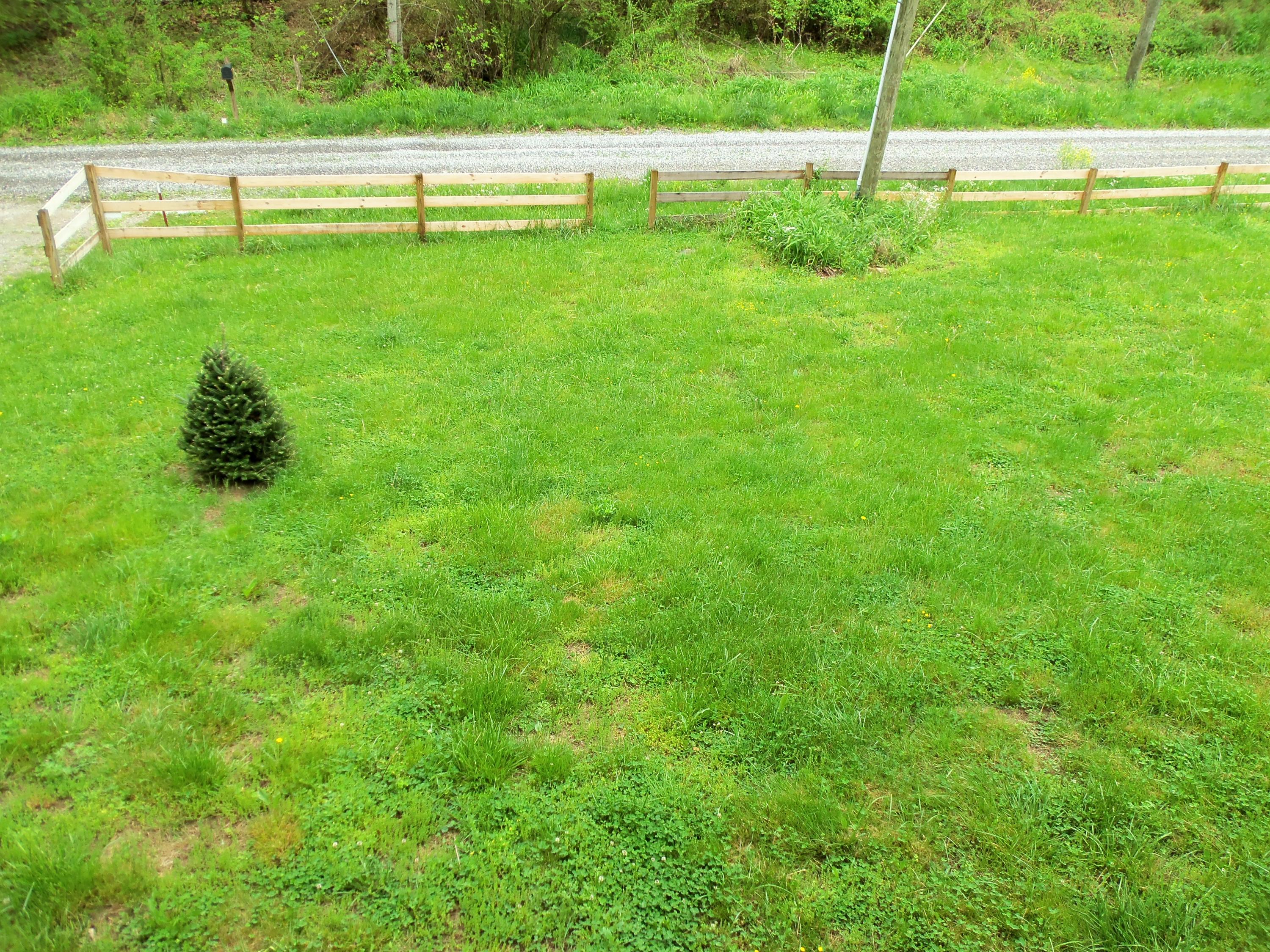 3220 Poor Valley Road Rutledge, TN 37861 - Photo 27 of 37 View From Front Porch