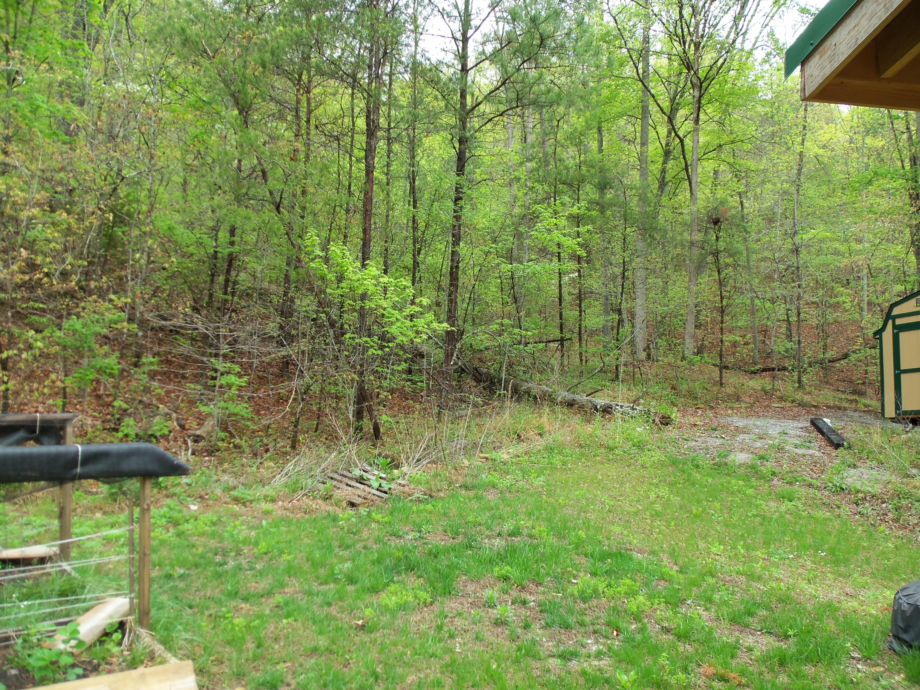 3220 Poor Valley Road Rutledge, TN 37861 - Photo 29 of 37 Back Yard