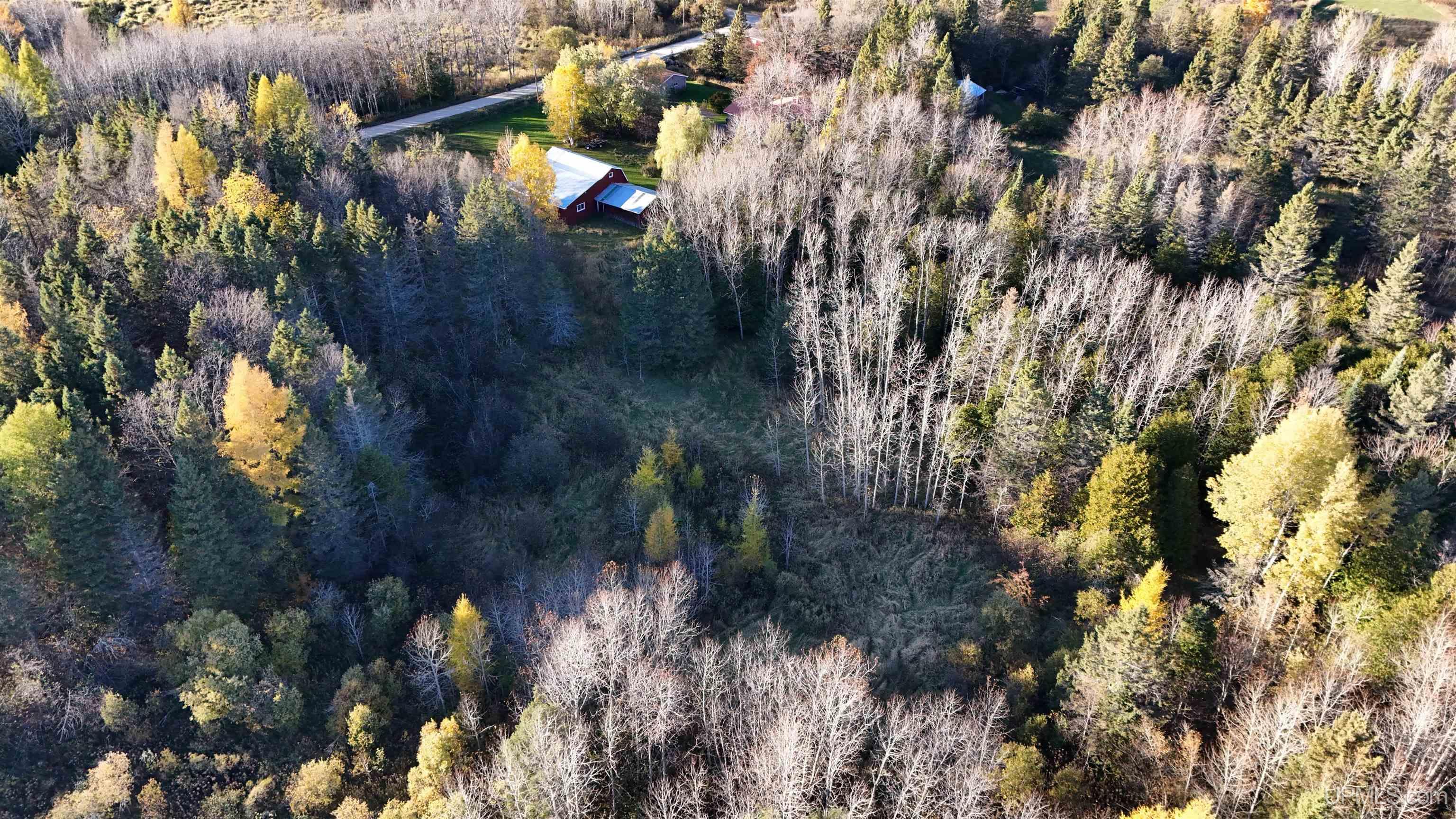 N5686 Jarvinen Road Eben Junction, MI 49825 - Photo 35 of 99