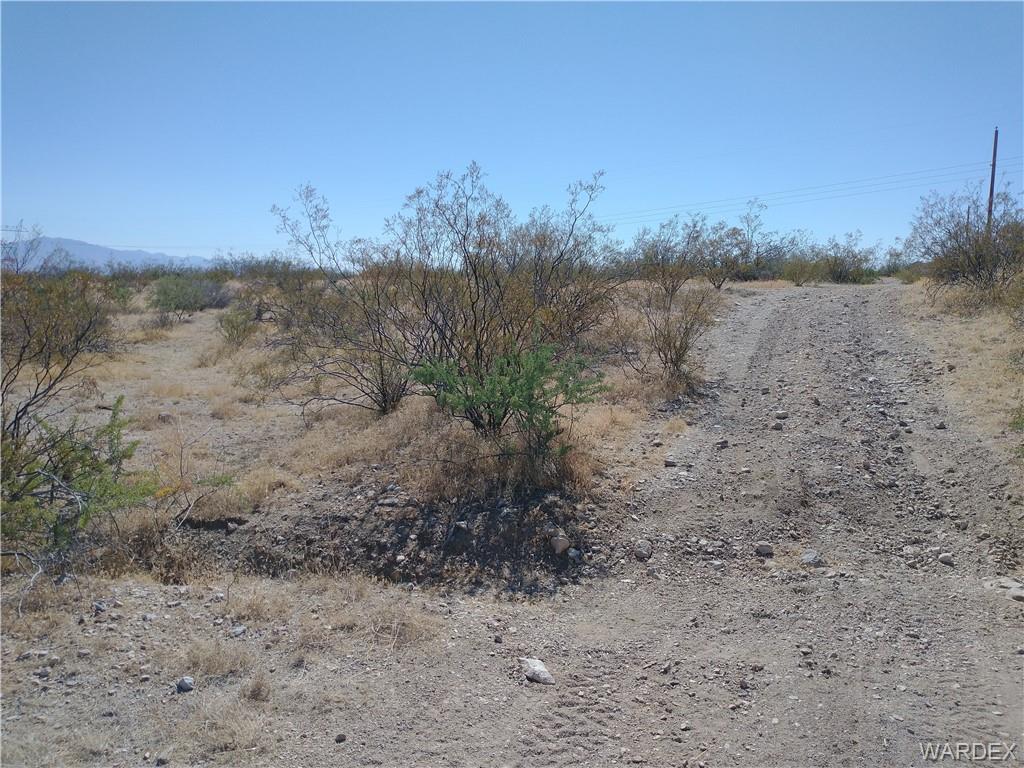 2034 Dugas Road Golden Valley, AZ 86413 - Photo 4 of 8 a view of a dry yard with trees in the background