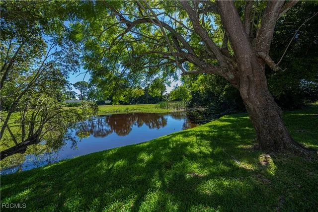 a view of a yard with an tree