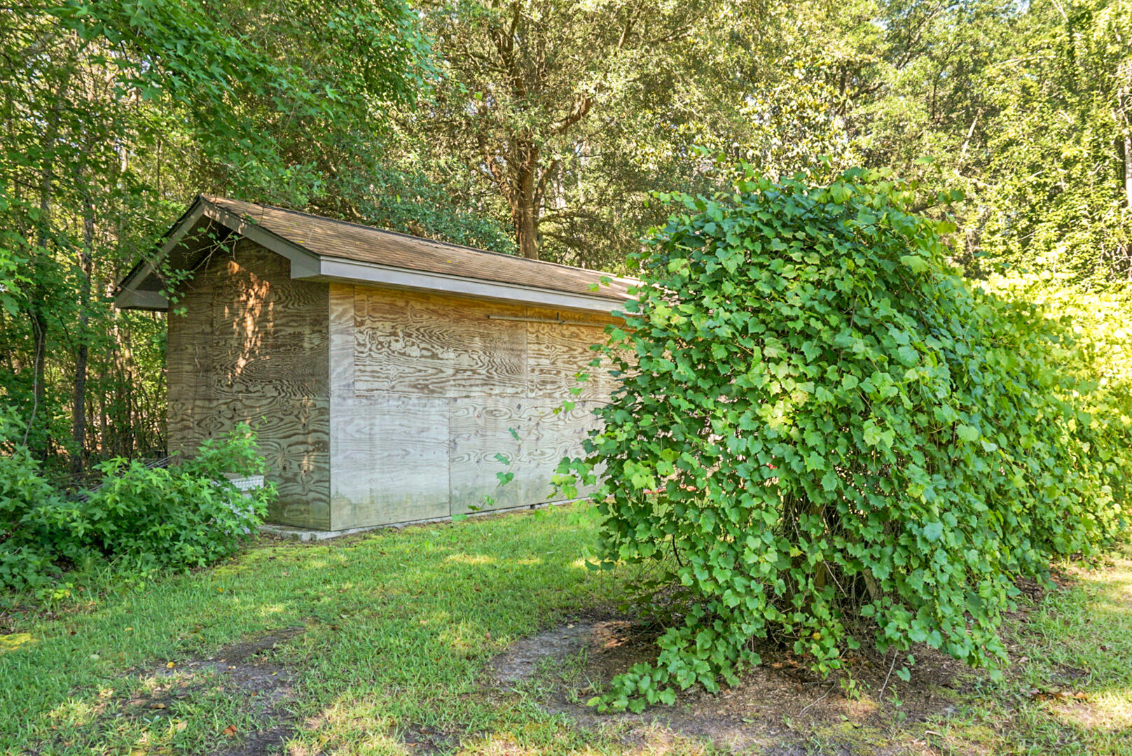 4428 Maple Ridge Road Walterboro, SC 29488 - Photo 15 of 63 DSC03161