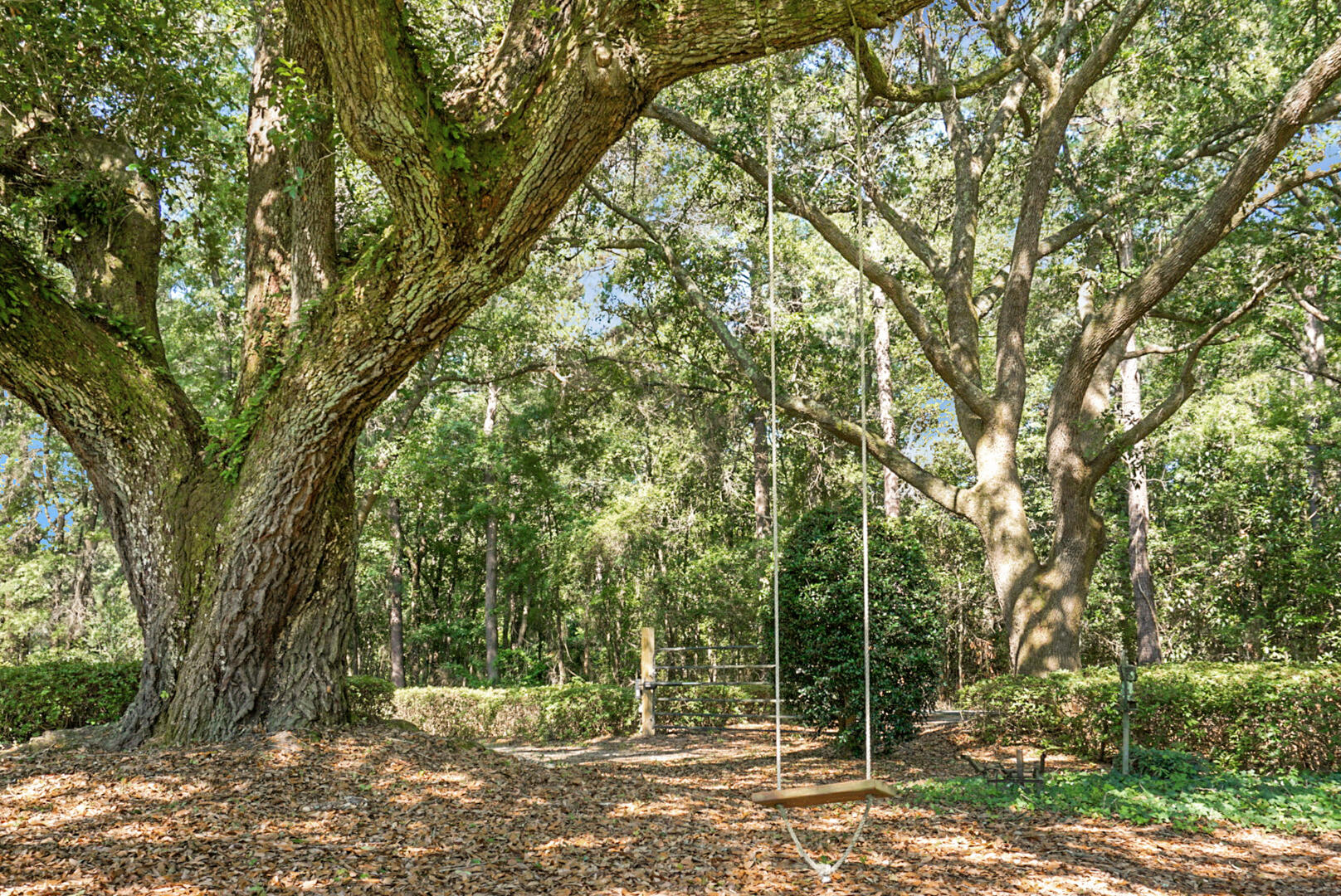 4428 Maple Ridge Road Walterboro, SC 29488 - Photo 20 of 63 DSC03182