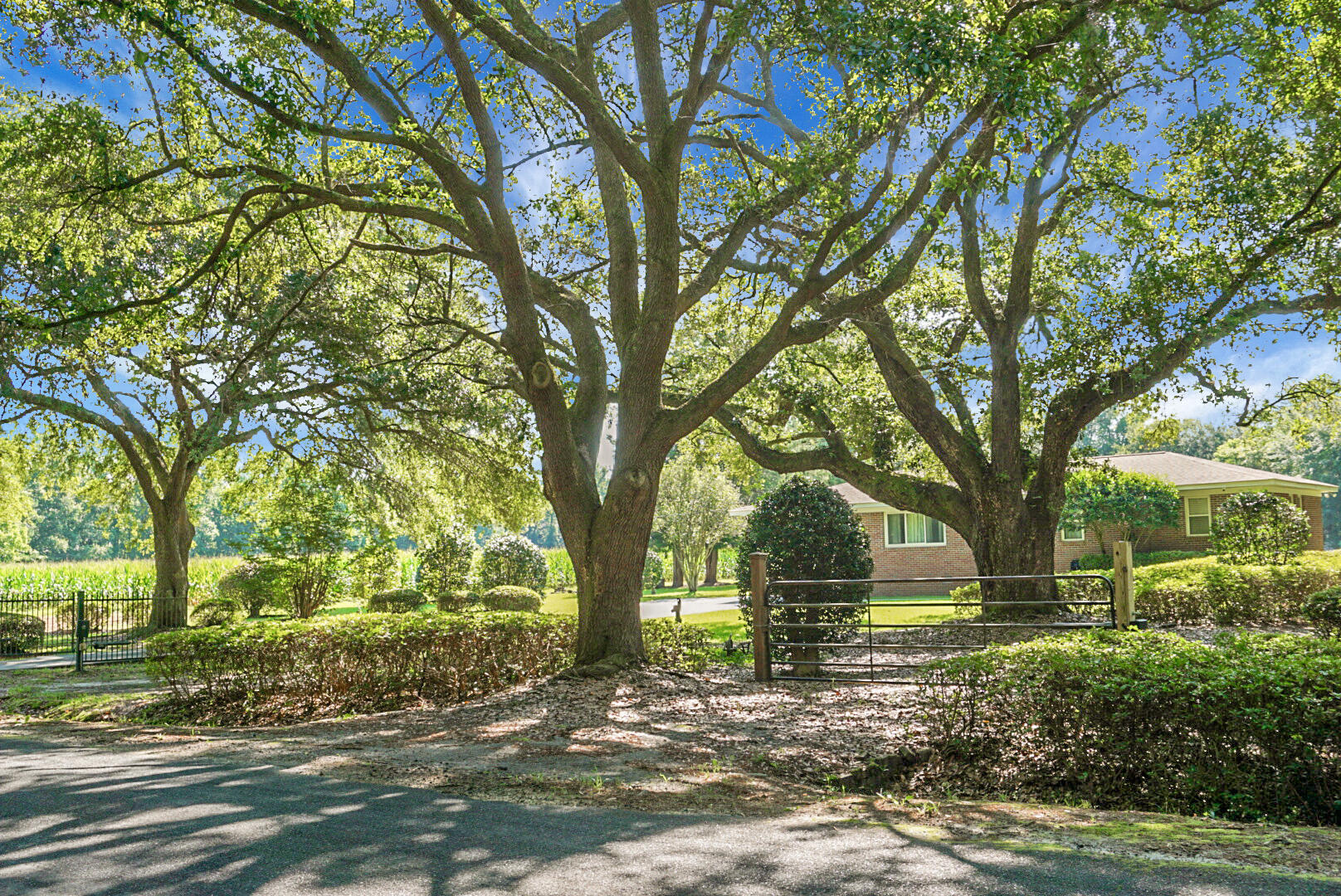 4428 Maple Ridge Road Walterboro, SC 29488 - Photo 4 of 63 DSC03098