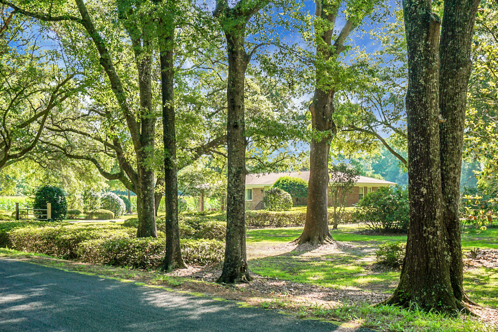 4428 Maple Ridge Road Walterboro, SC 29488 - Photo 5 of 63 DSC03104