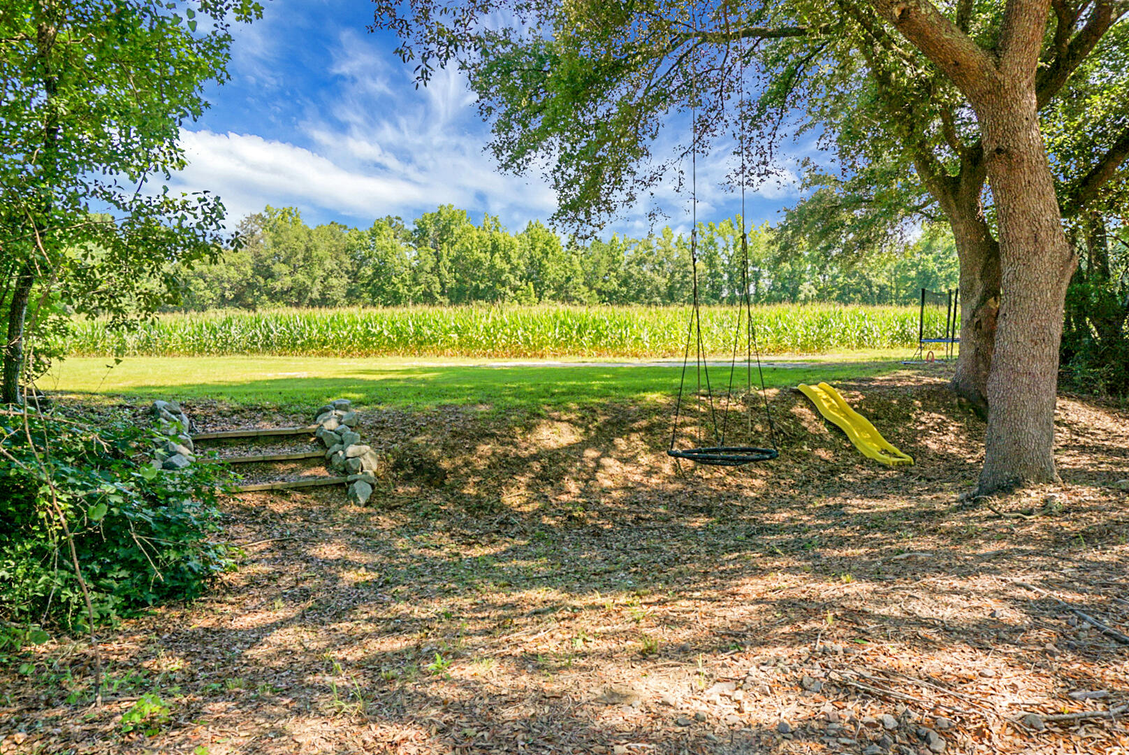 4428 Maple Ridge Road Walterboro, SC 29488 - Photo 57 of 63 DSC03323
