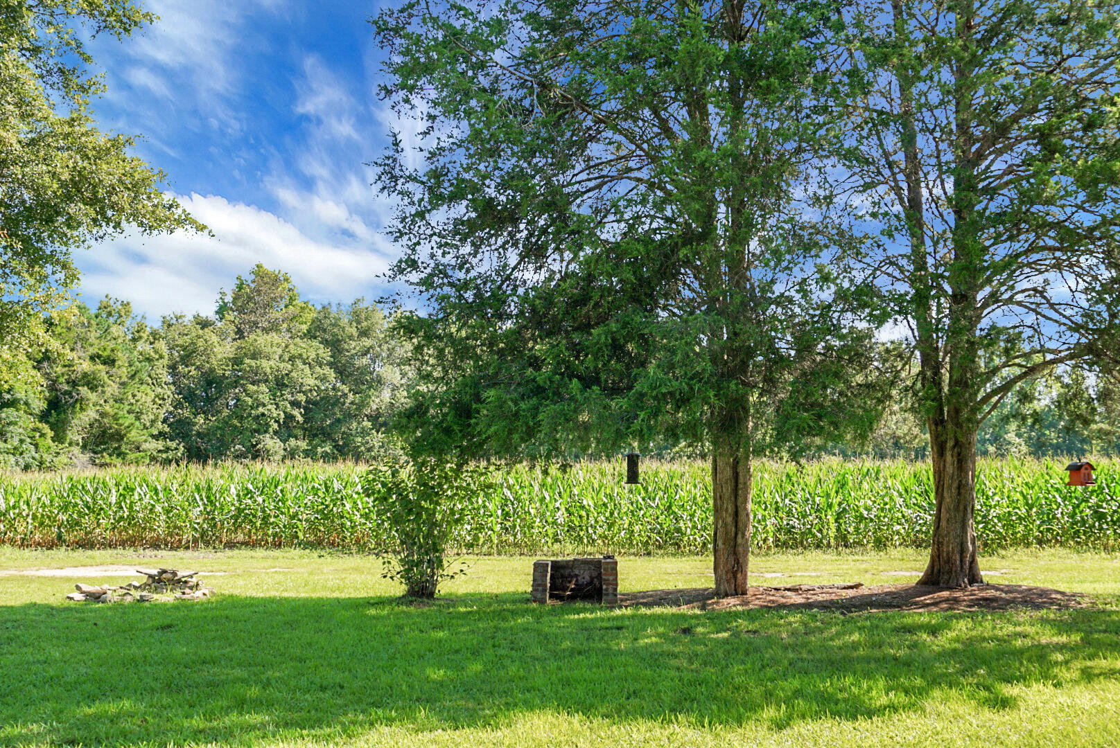 4428 Maple Ridge Road Walterboro, SC 29488 - Photo 9 of 63 DSC03131