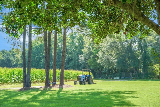 $499,000 | 4428 Maple Ridge Road, Walterboro, SC 29488