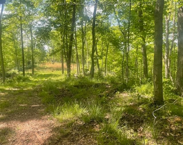 0 Rt 62 Road Millwood, WV 25262 - Photo 6 of 13 Gallery Image 6
