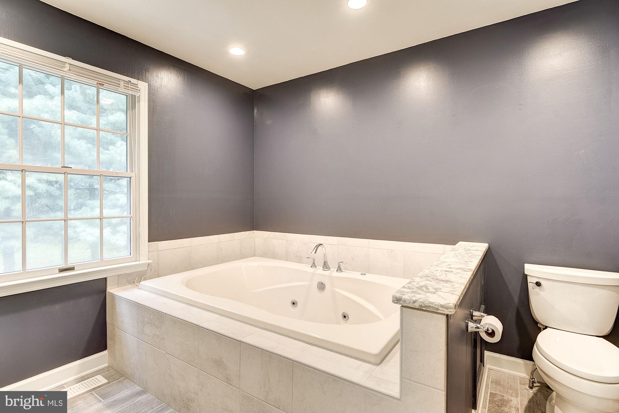 12308 Timber Grove Road Owings Mills, MD 21117 - Photo 35 of 61 Primary Suite Bathroom