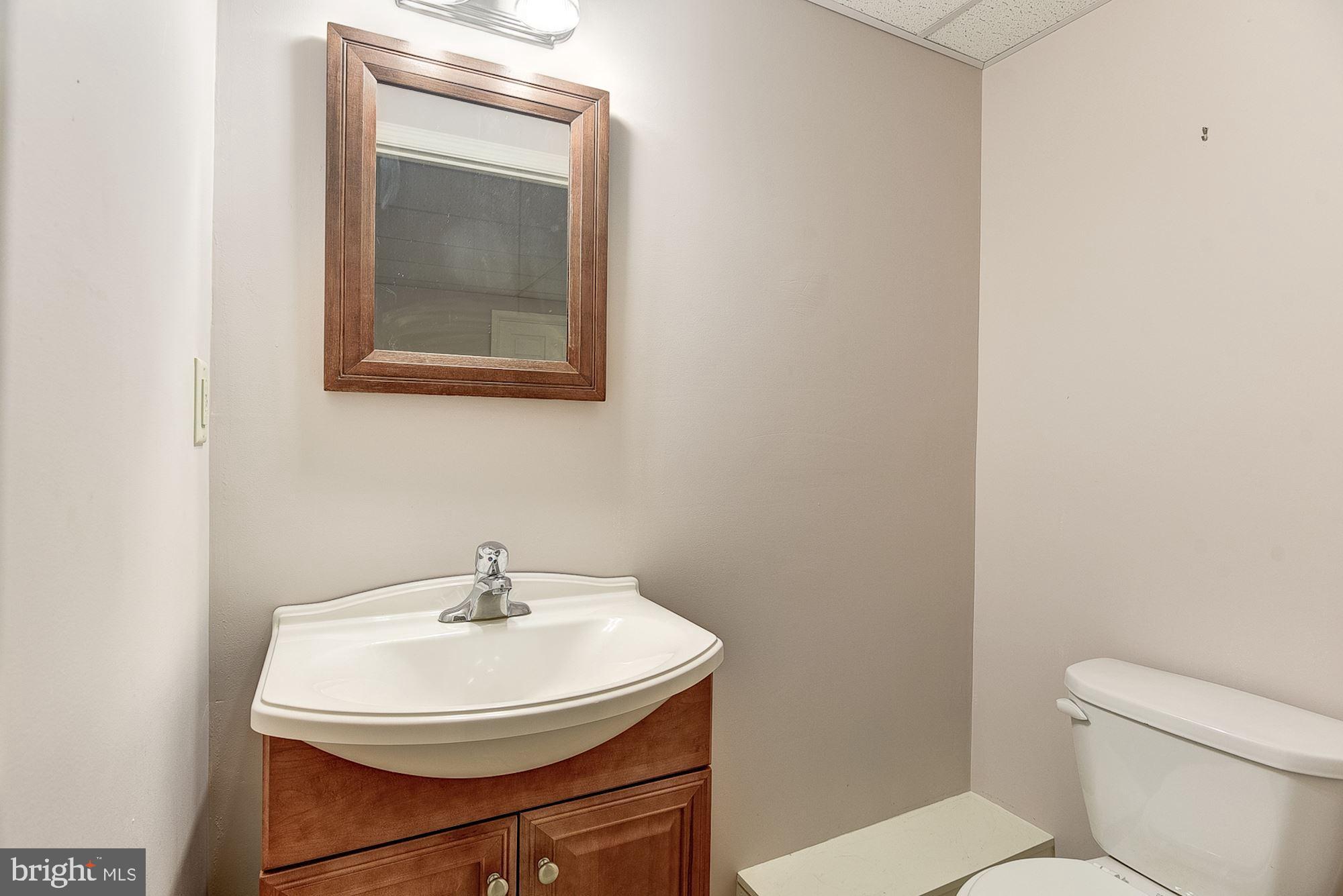 12308 Timber Grove Road Owings Mills, MD 21117 - Photo 49 of 61 Powder Room