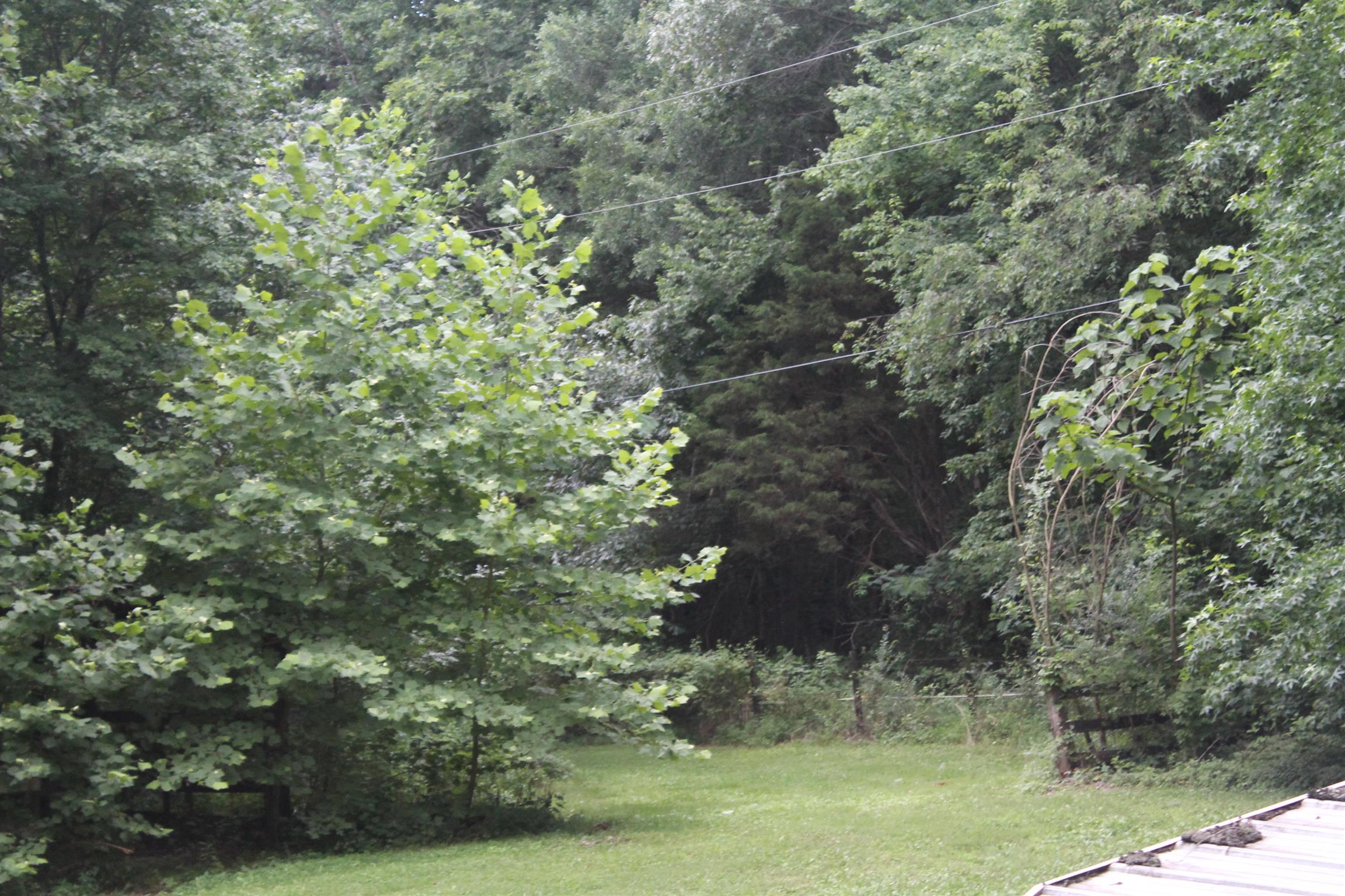 350 Stroud Road Cedar Hill, TN 37032 - Photo 7 of 29 Gallery Image 7