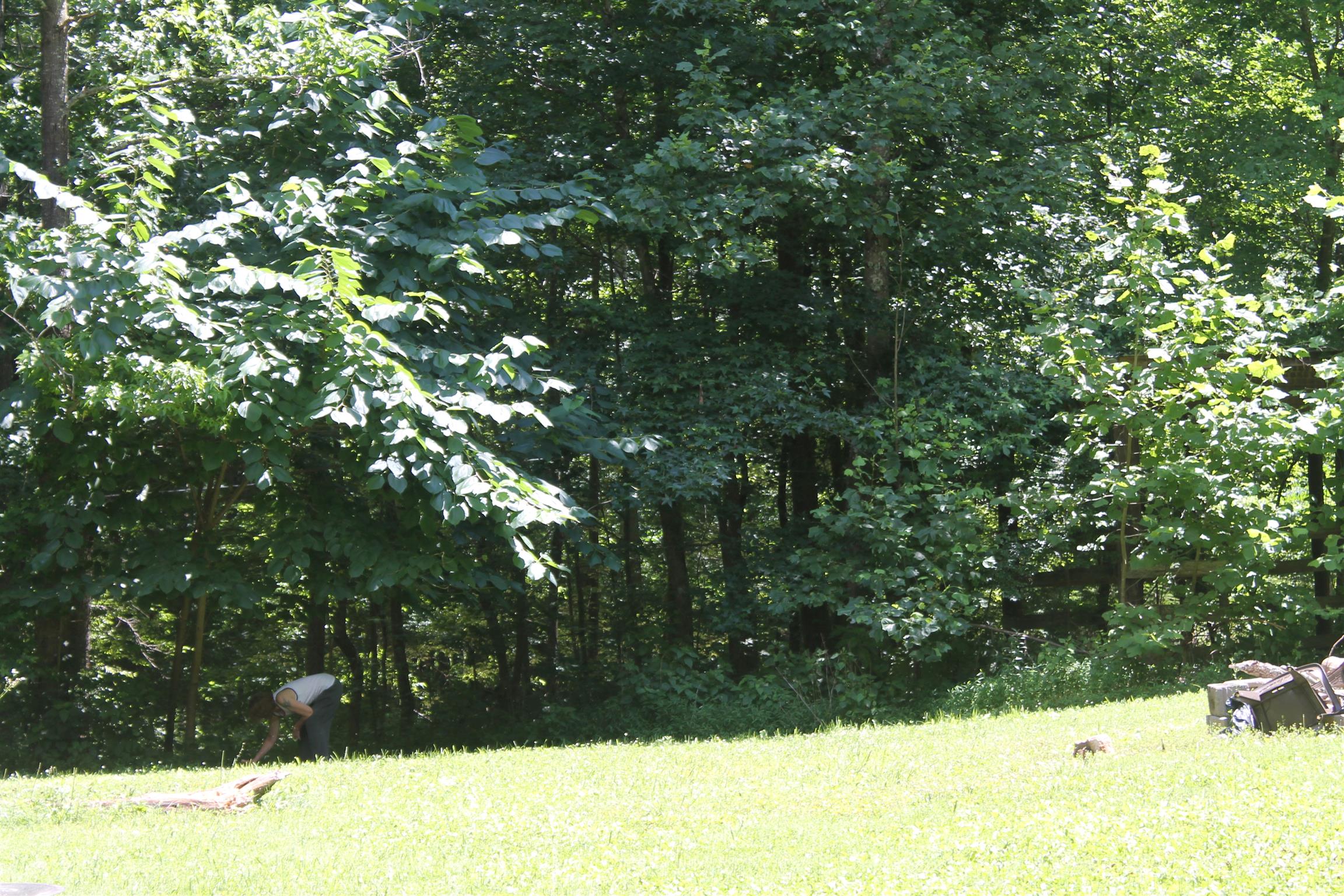 350 Stroud Road Cedar Hill, TN 37032 - Photo 9 of 29 Gallery Image 9