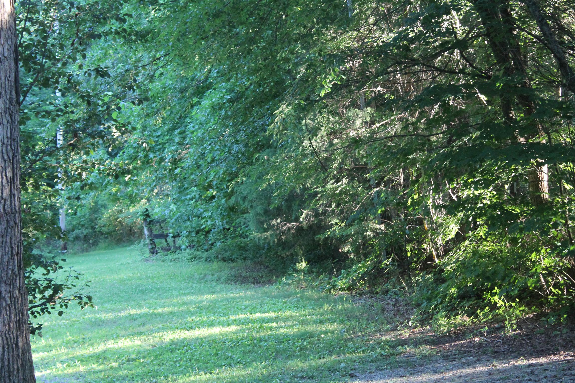 350 Stroud Road Cedar Hill, TN 37032 - Photo 10 of 29 Gallery Image 10