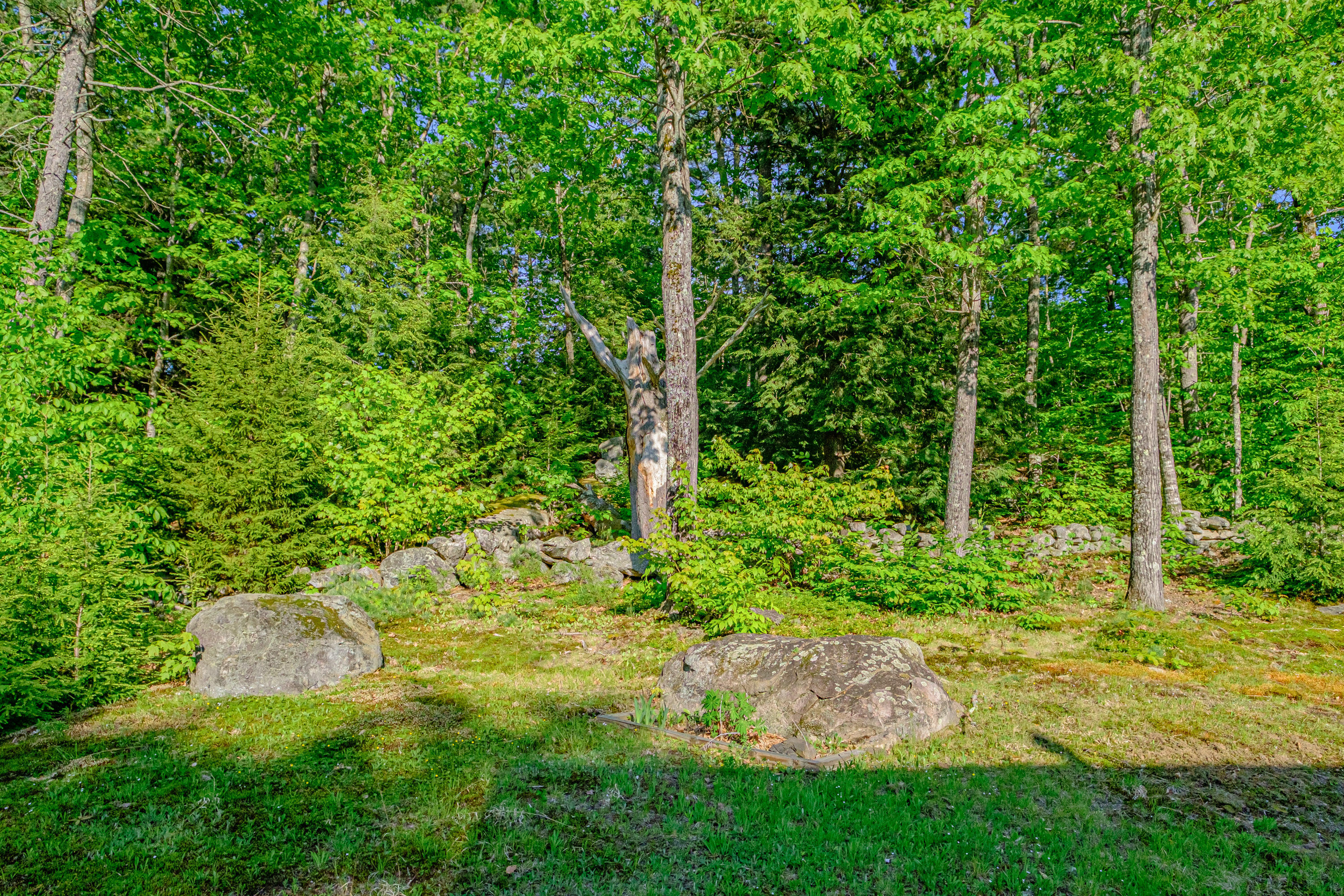 739 Spec Pond Road Porter, ME 04068 - Photo 44 of 48 20250528gp-64075