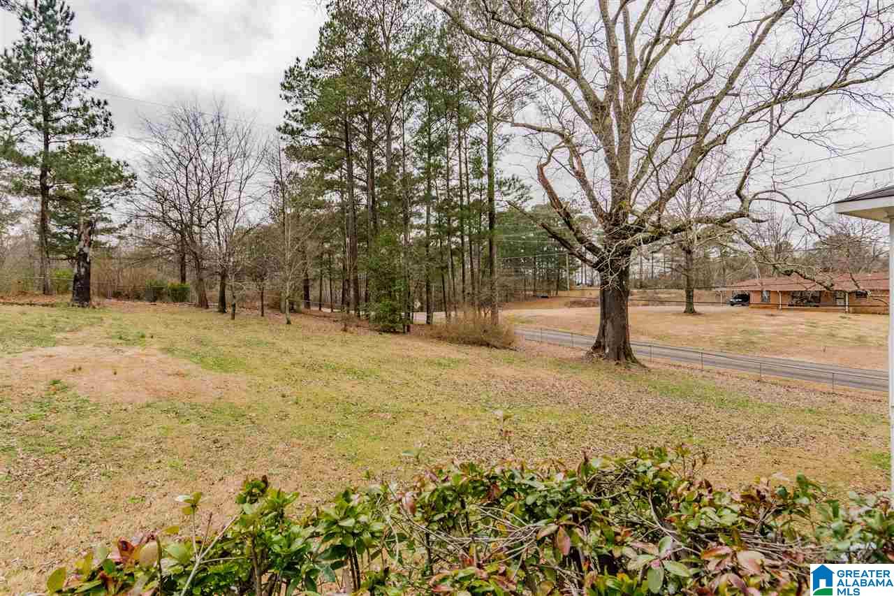 1603 Shannon Road Bessemer, AL 35022 - Photo 32 of 34