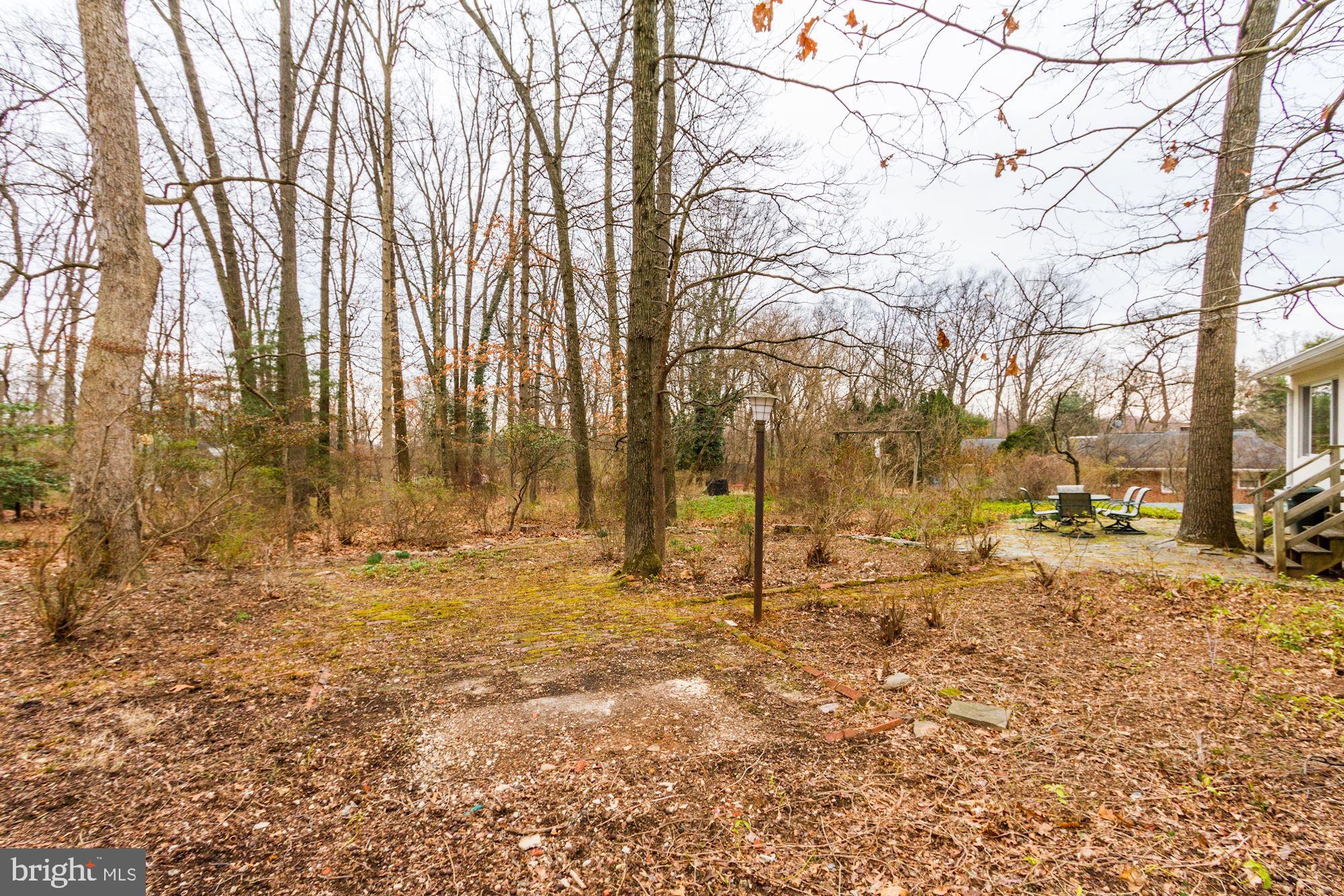 711 Copley Lane Silver Spring, MD 20904 - Photo 36 of 37 Gallery Image 36