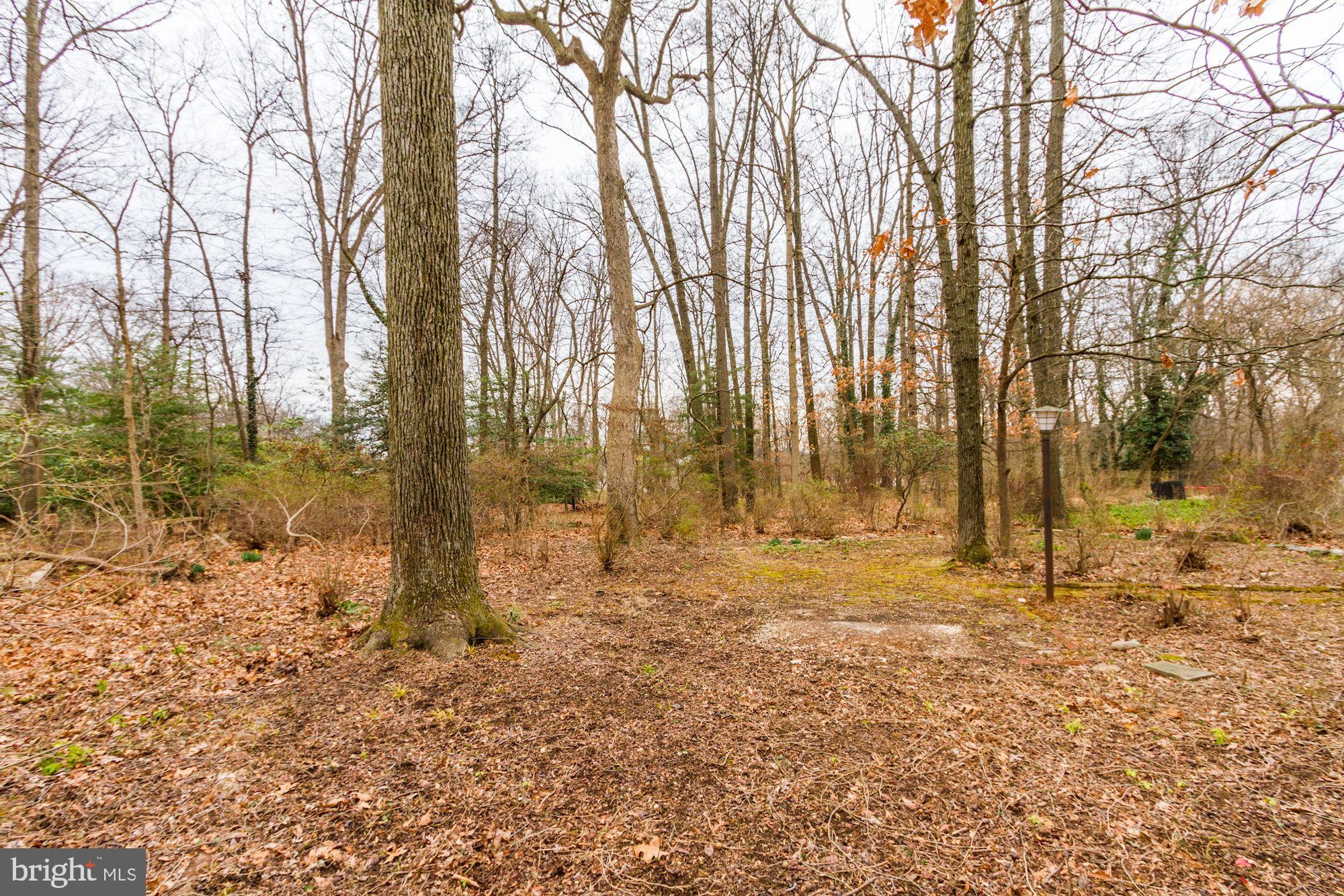 711 Copley Lane Silver Spring, MD 20904 - Photo 37 of 37 Gallery Image 37